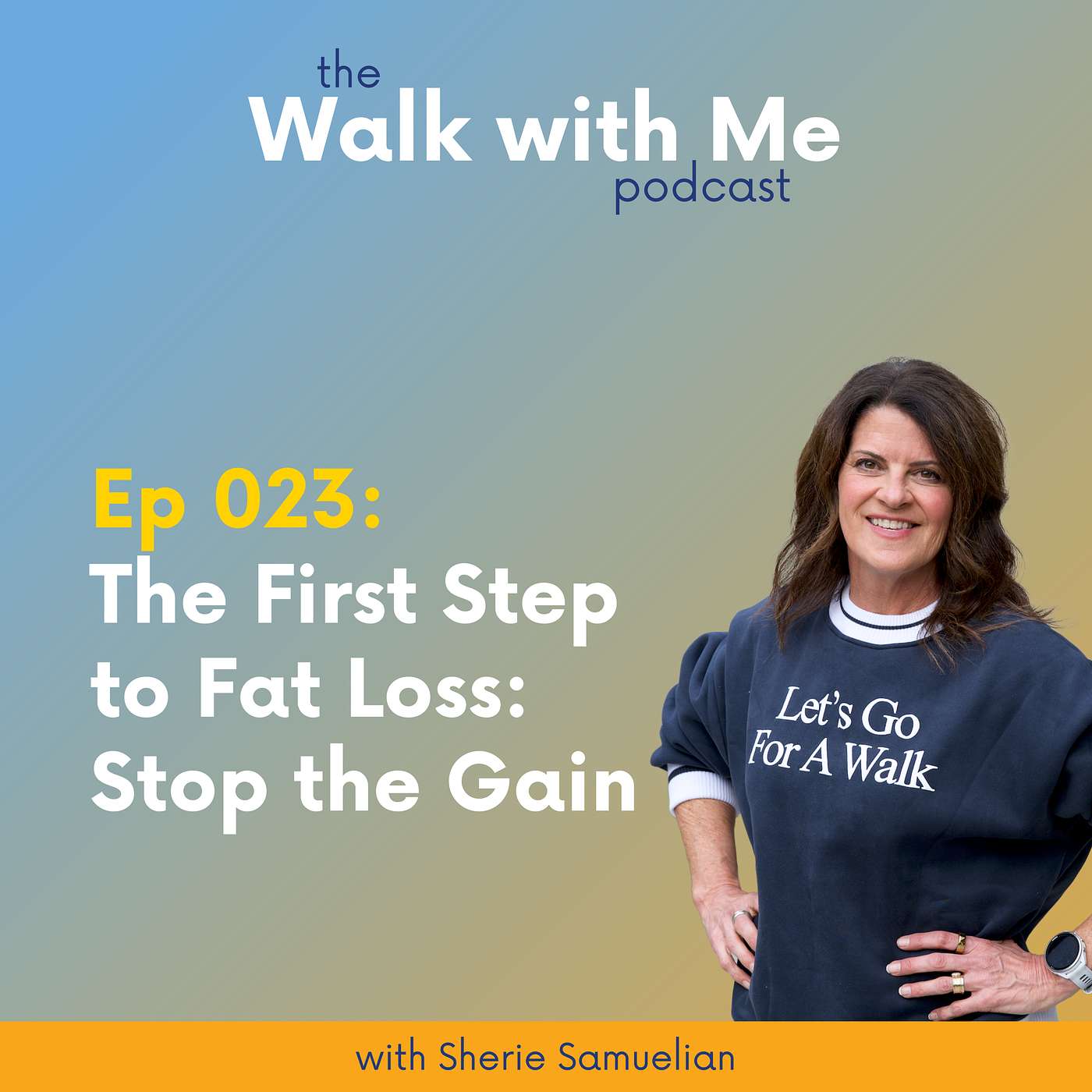 023: The First Step to Fat Loss: Stop the Gain
