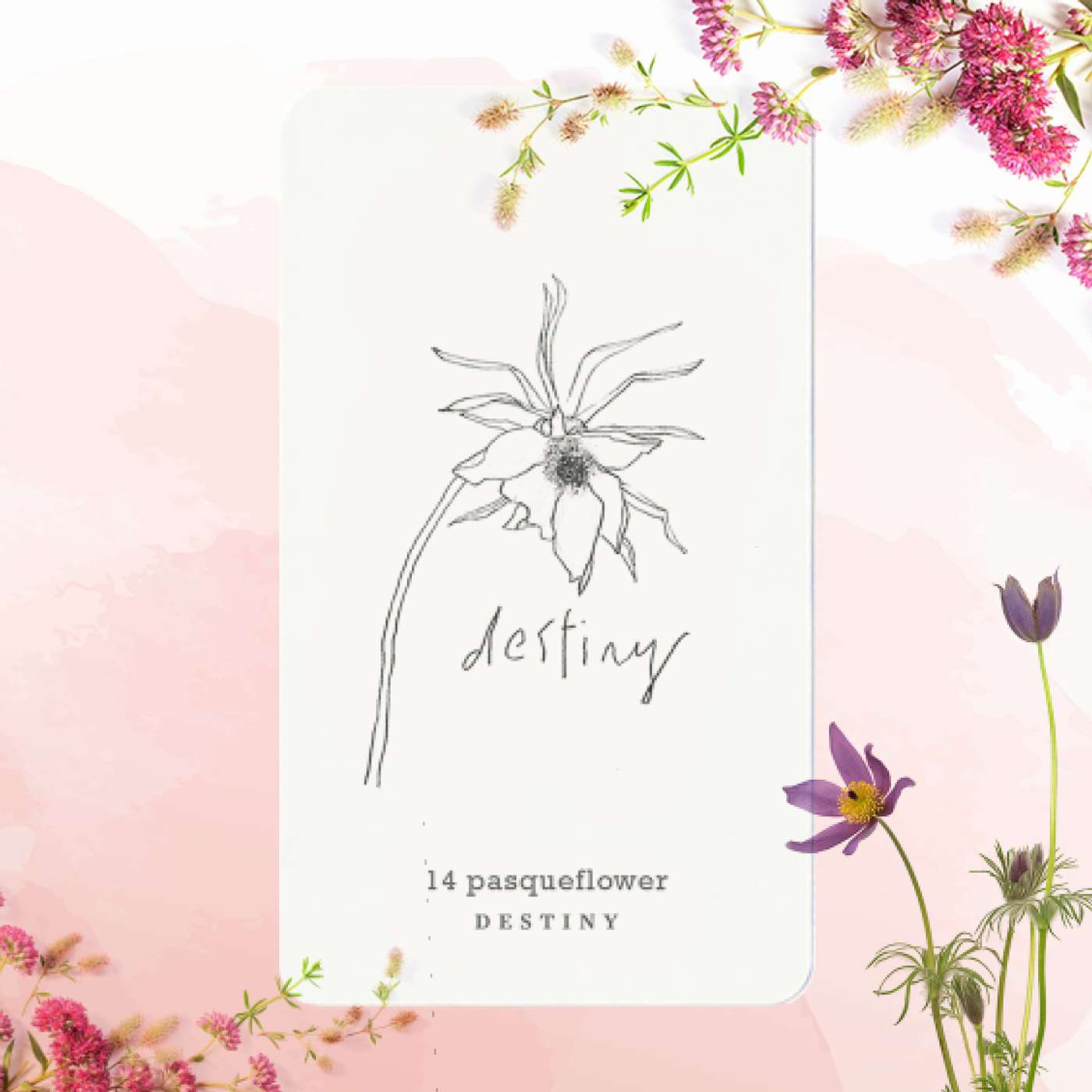 Gratitude Blooming Podcast