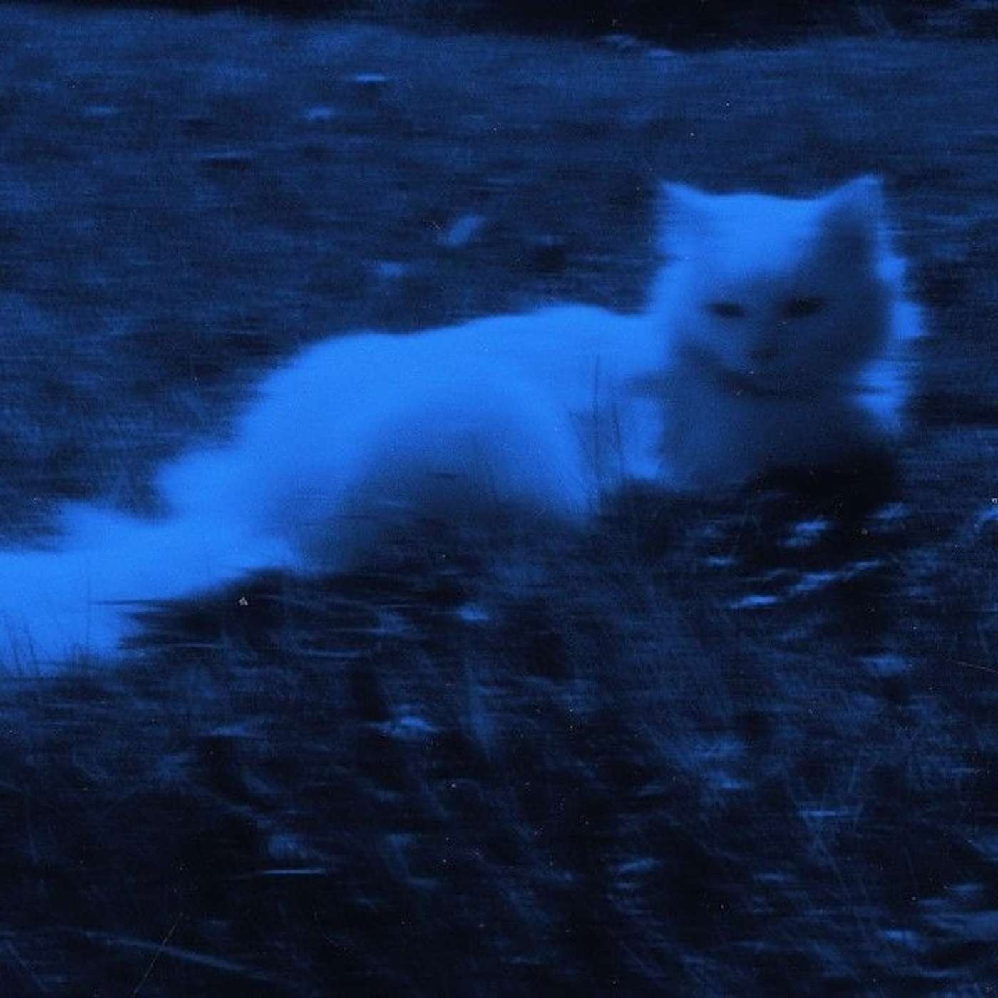 ⋆˚࿔ 𝐩he𝐥 𝐬ong𝐬 𝜗𝜚˚⋆