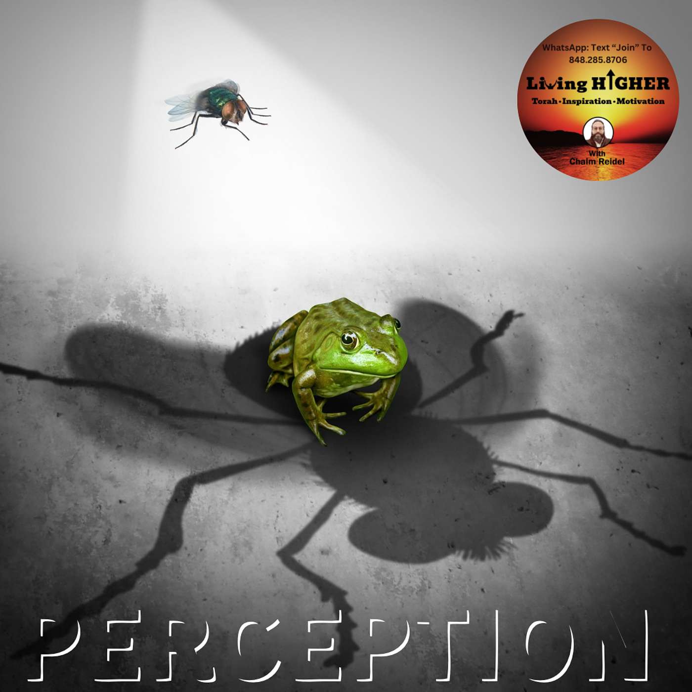 Our Perception Of Ourselves. Our Yetzer Hora. Grashoppers, Worms & Flies Oh My episode artwork