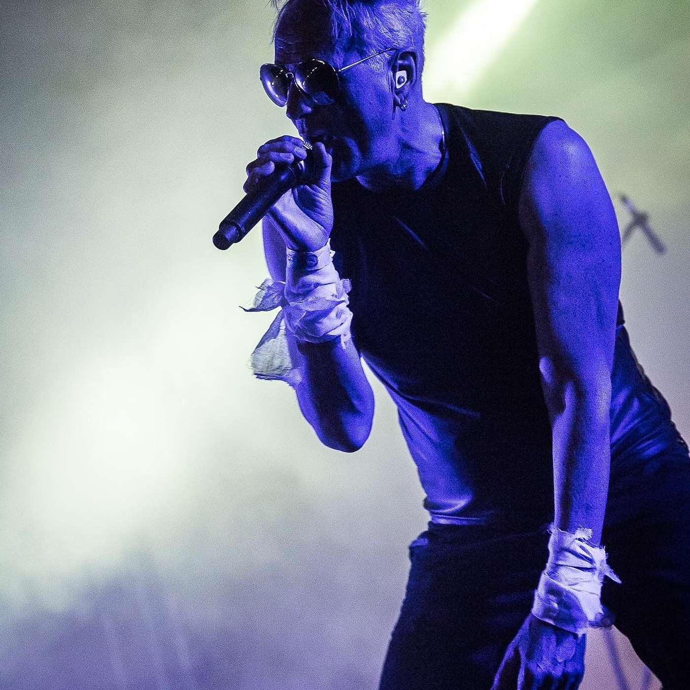 Austrian Record Producer and Songwriter, Bill Leeb of Front Line Assembly and Delerium