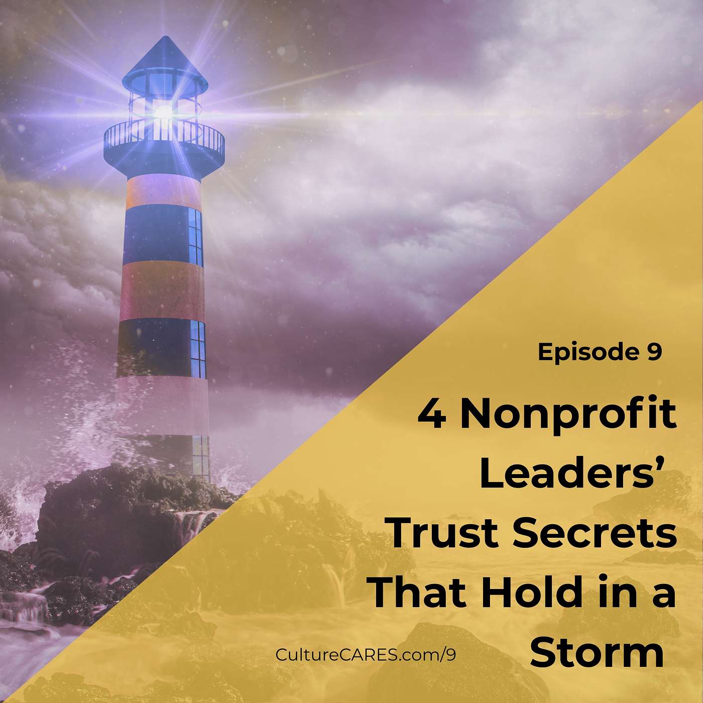 9: 4 Nonprofit Leaders’ Trust Secrets That Hold in a Storm