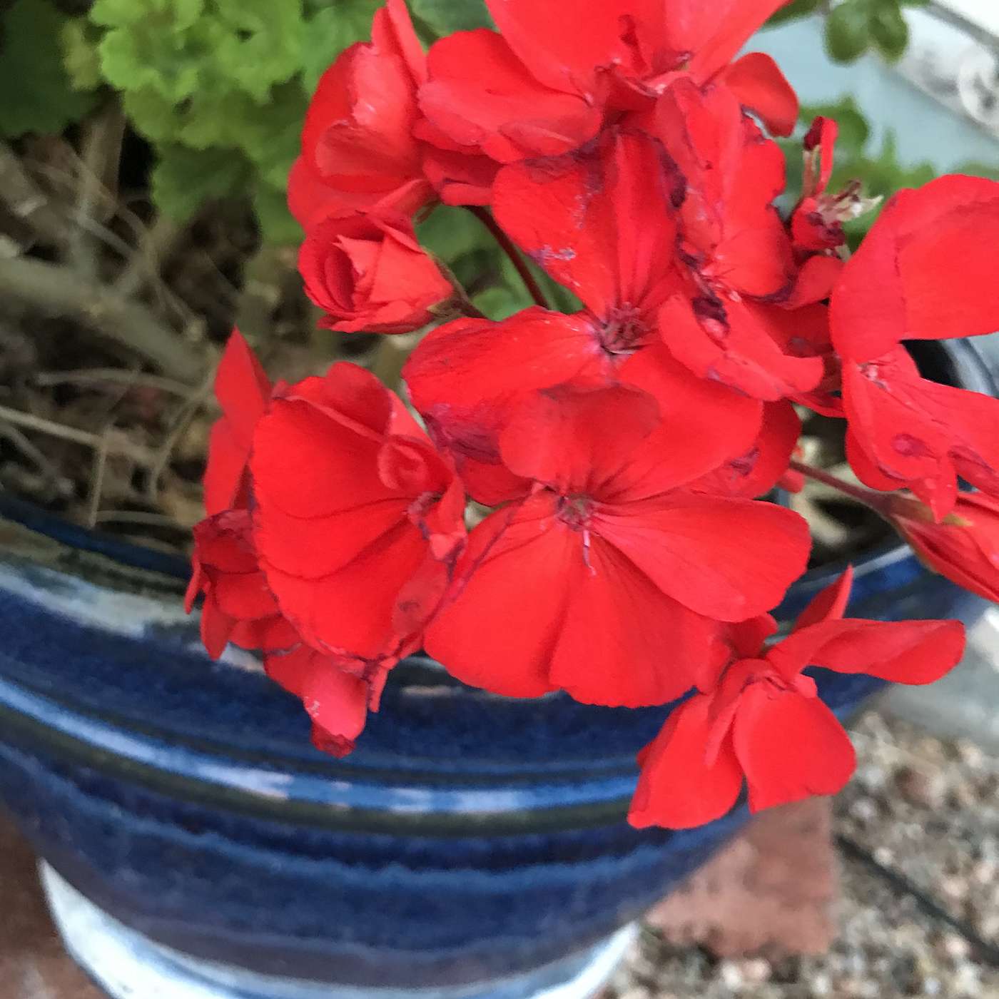 First Cup of Coffee - September 11, 2018