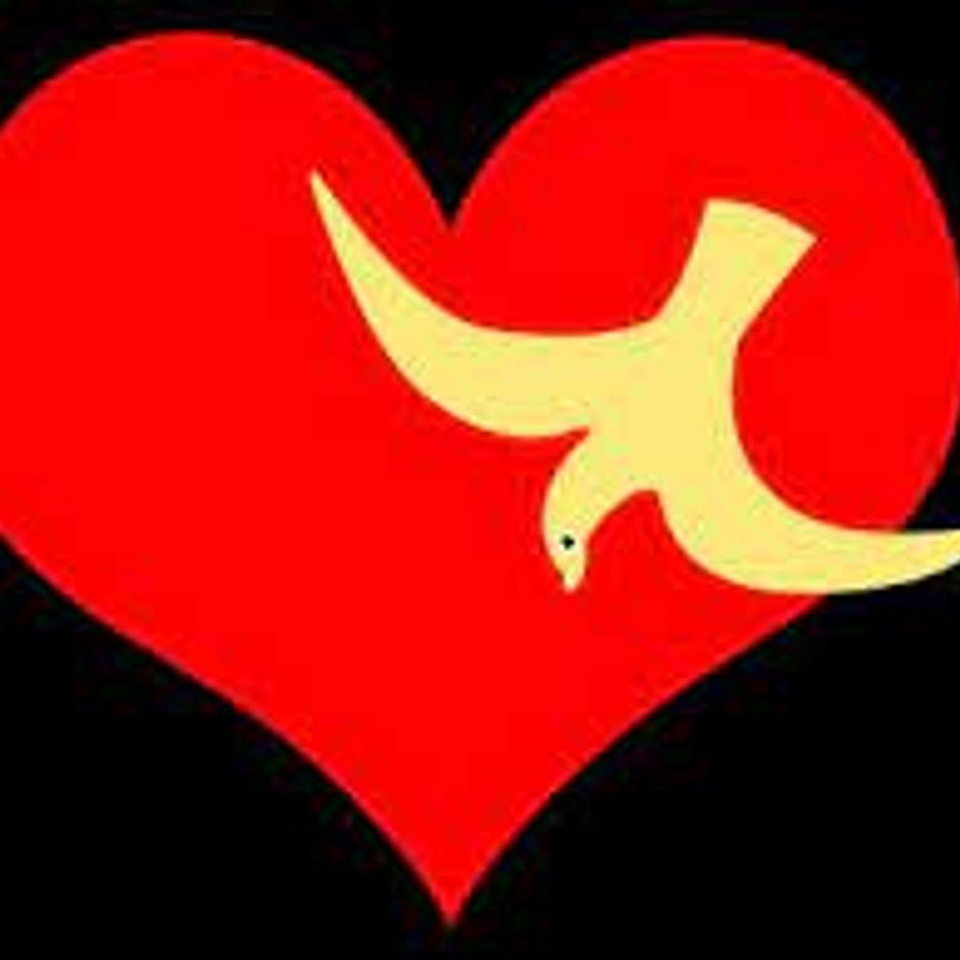 C&SI - Friends of Calcutta - 4 September 2022 (S02E42)