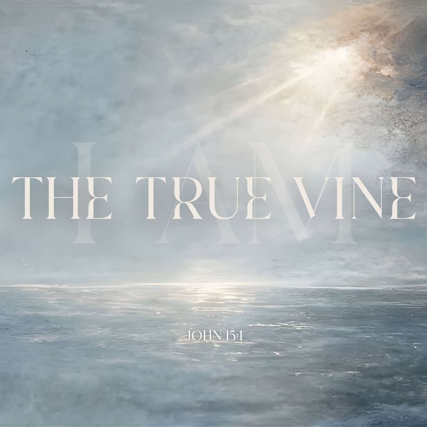 The Vine | Pastor Jeremy Saylor | Sunday Service episode artwork