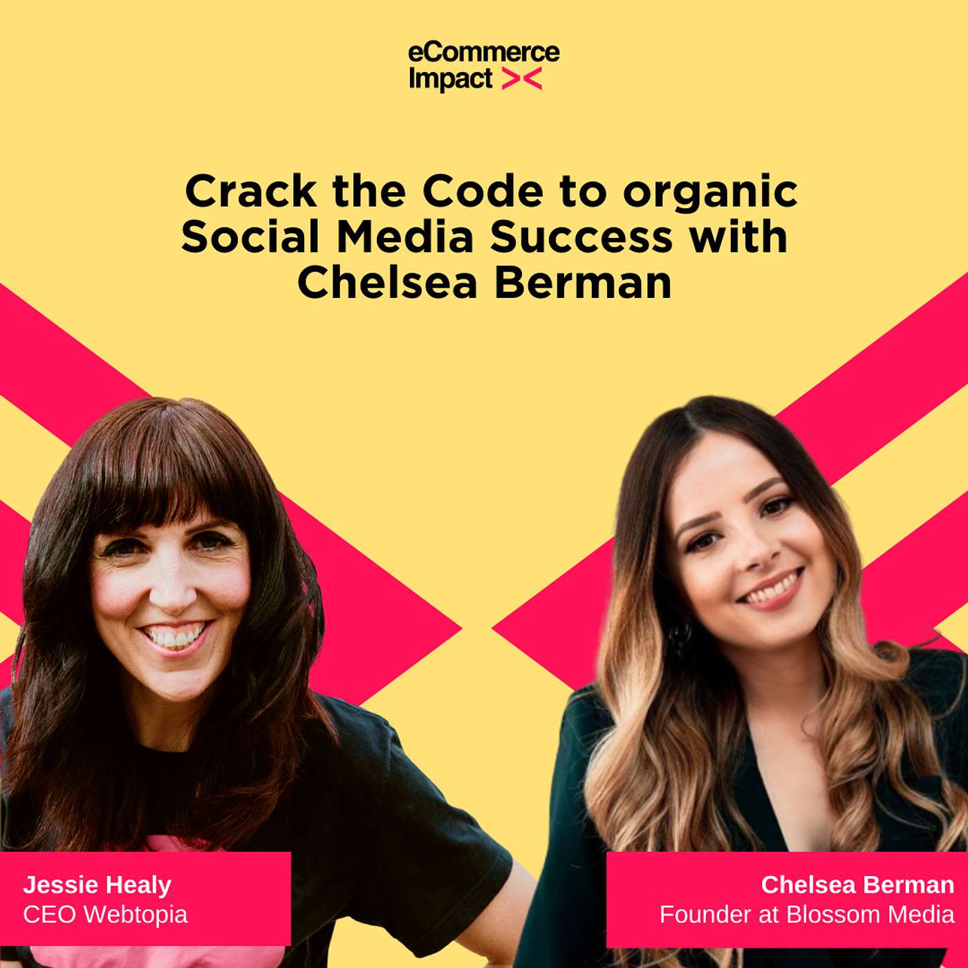 eCommerce Impact Podcast