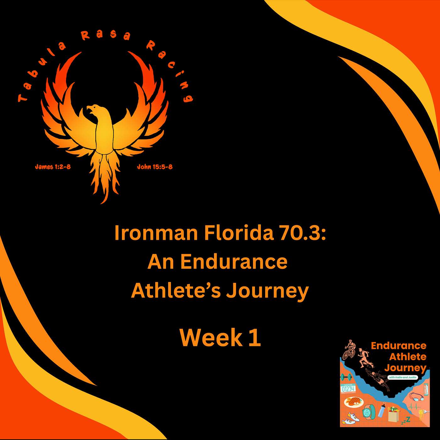 Bonus Cast: Ironman Florida 70.3: An Endurance Athlete’s Journey - Week 1