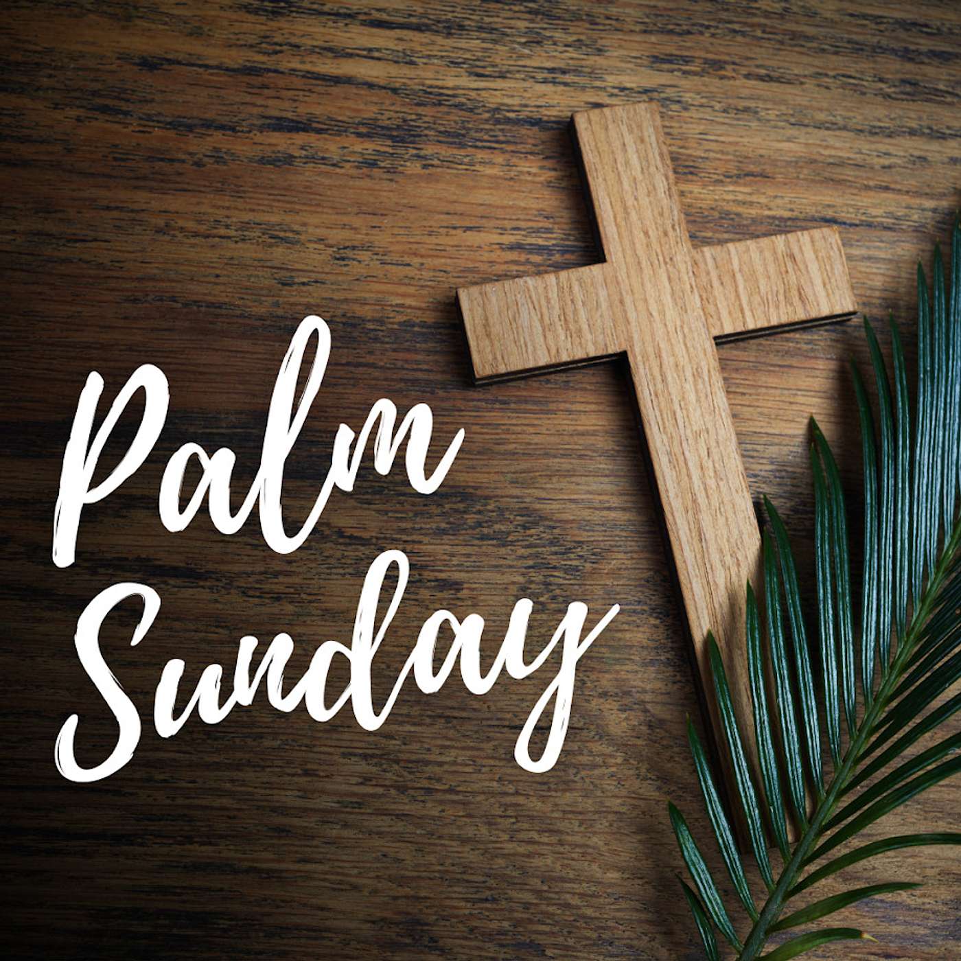 March 24, 2024 | Luke Sermon Series Episode 44 "Palm Sunday" episode artwork