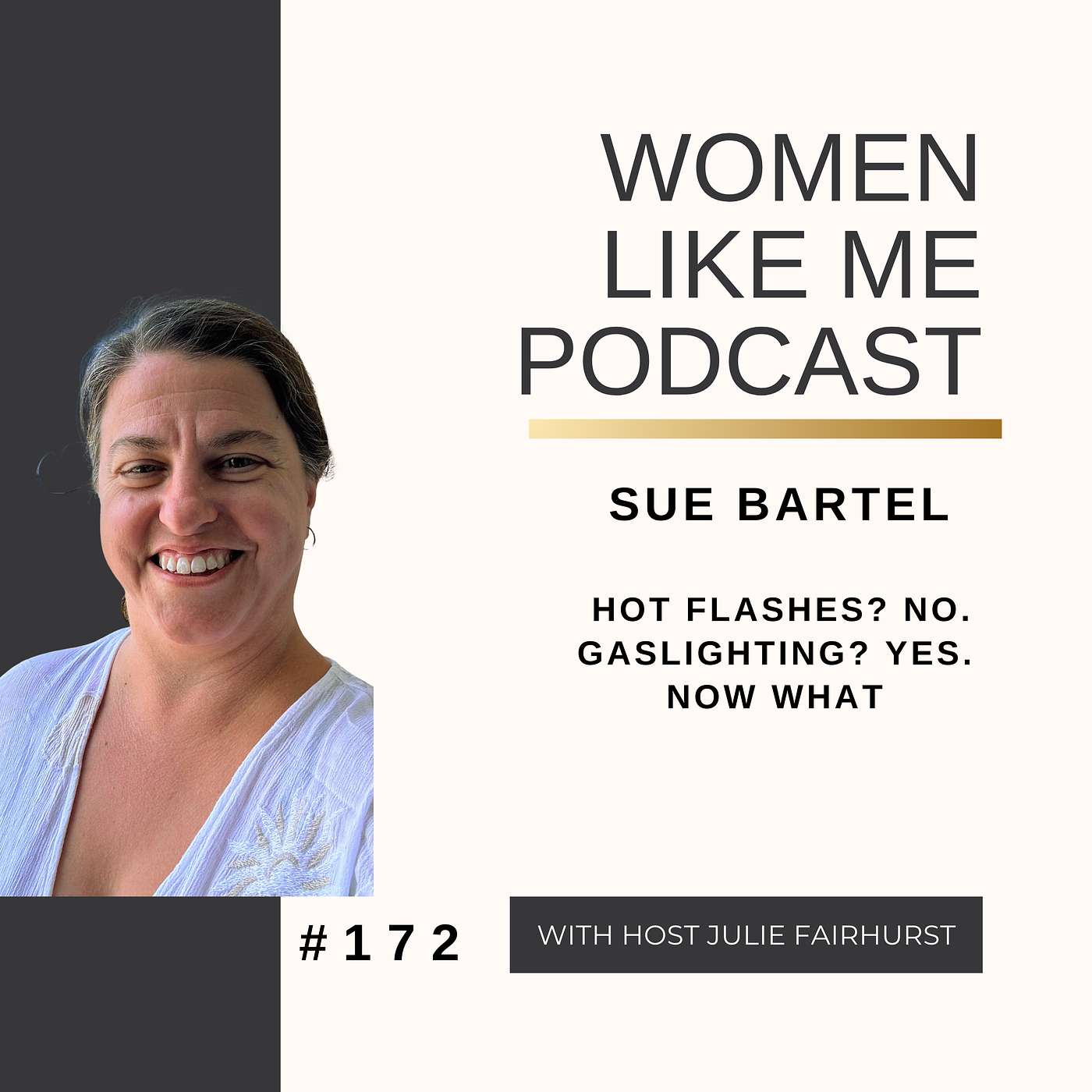 SUE BARTEL: Hot Flashes? No. Gaslighting? Yes. Now What episode artwork