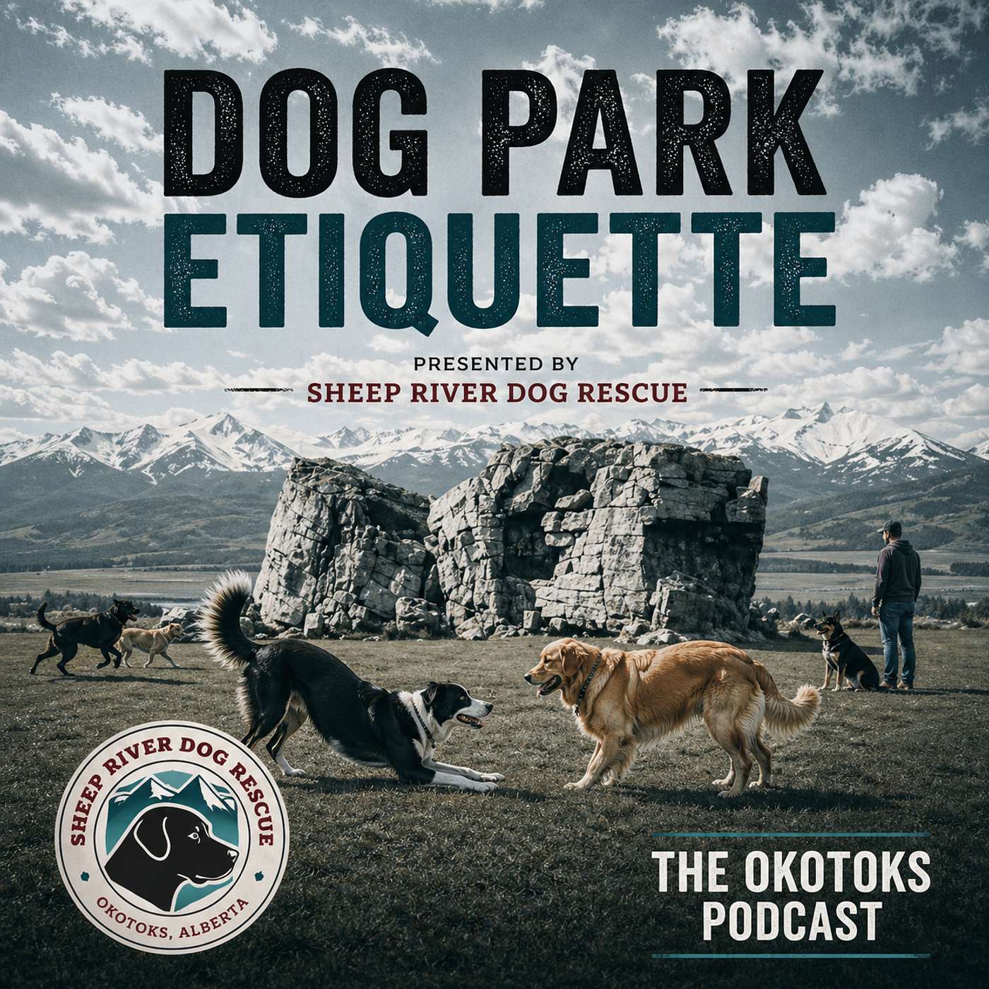 Dog Park Etiquette