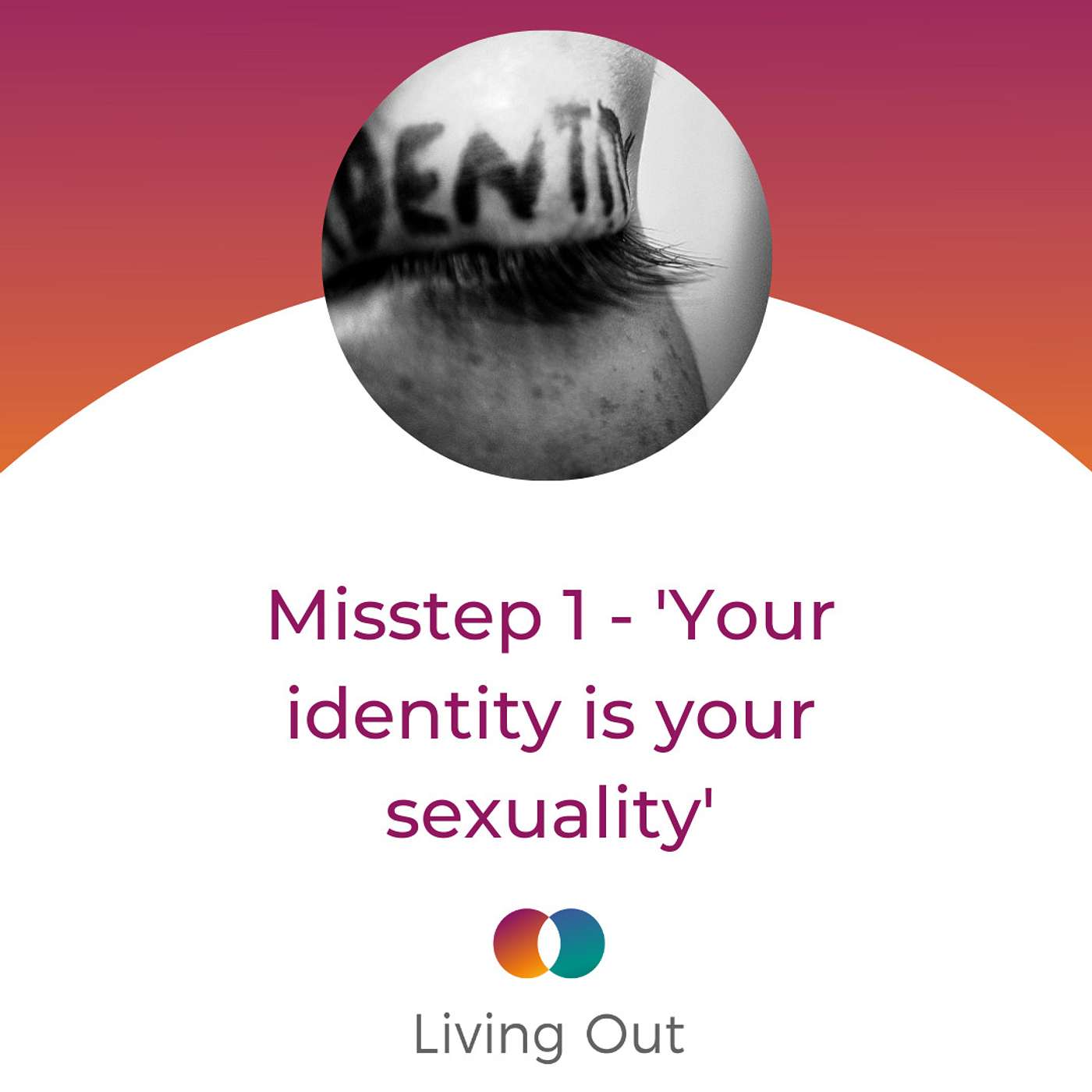 Misstep 1 - 'Your identity is your sexuality' (The Plausibility Problem #1) episode artwork