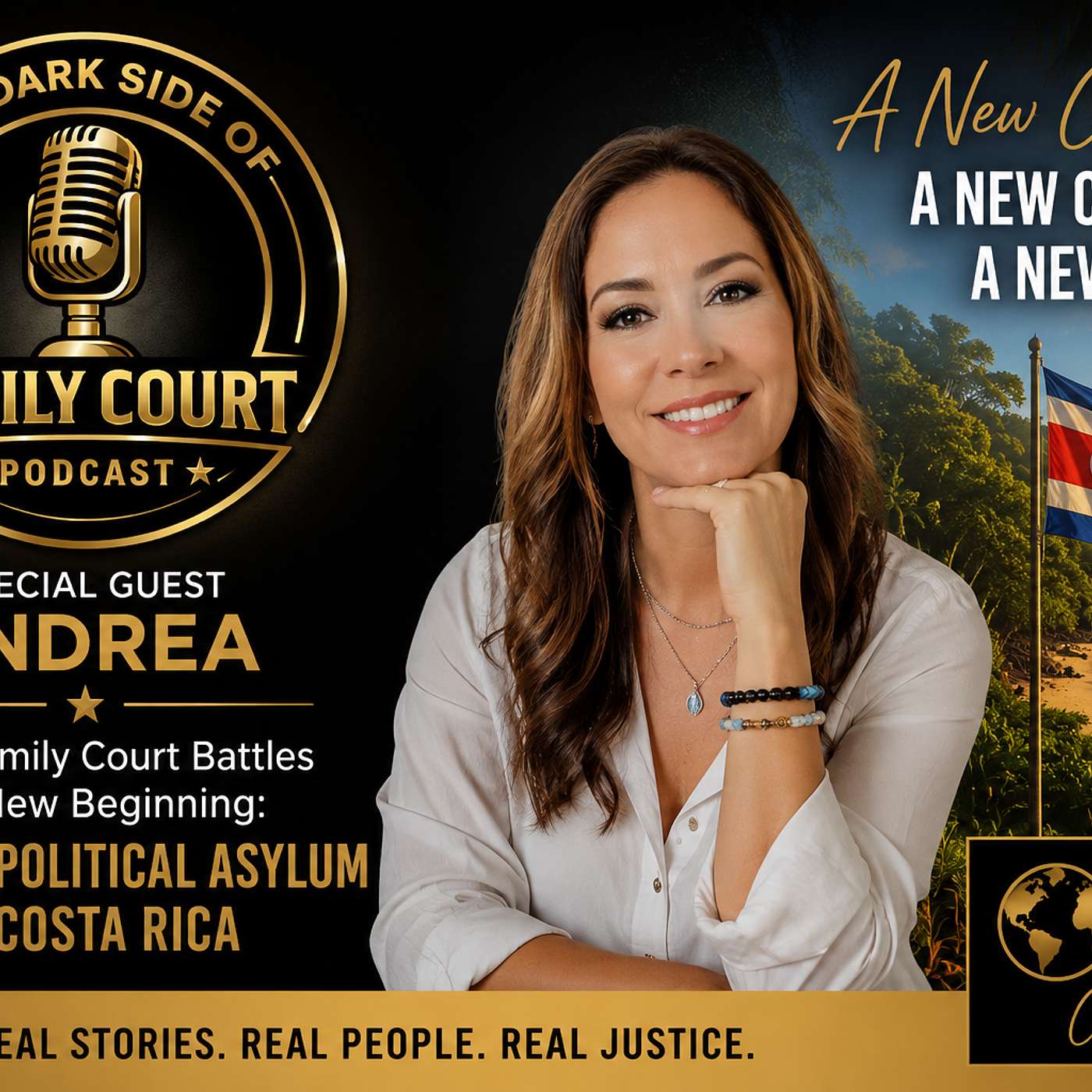 How Do You Seek Political Asylum From Family Court? episode artwork