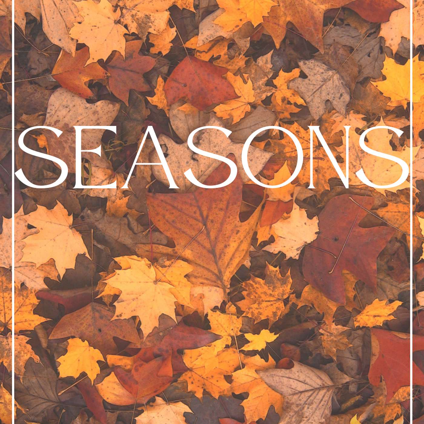Seasons Seasons