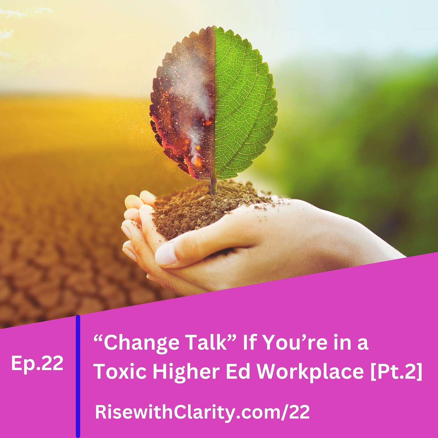 Rise with Clarity Podcast