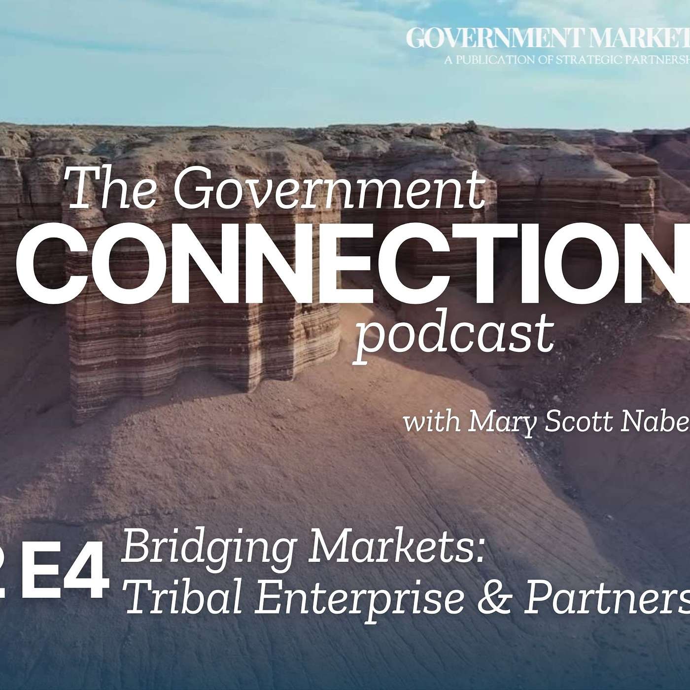The Government Connection