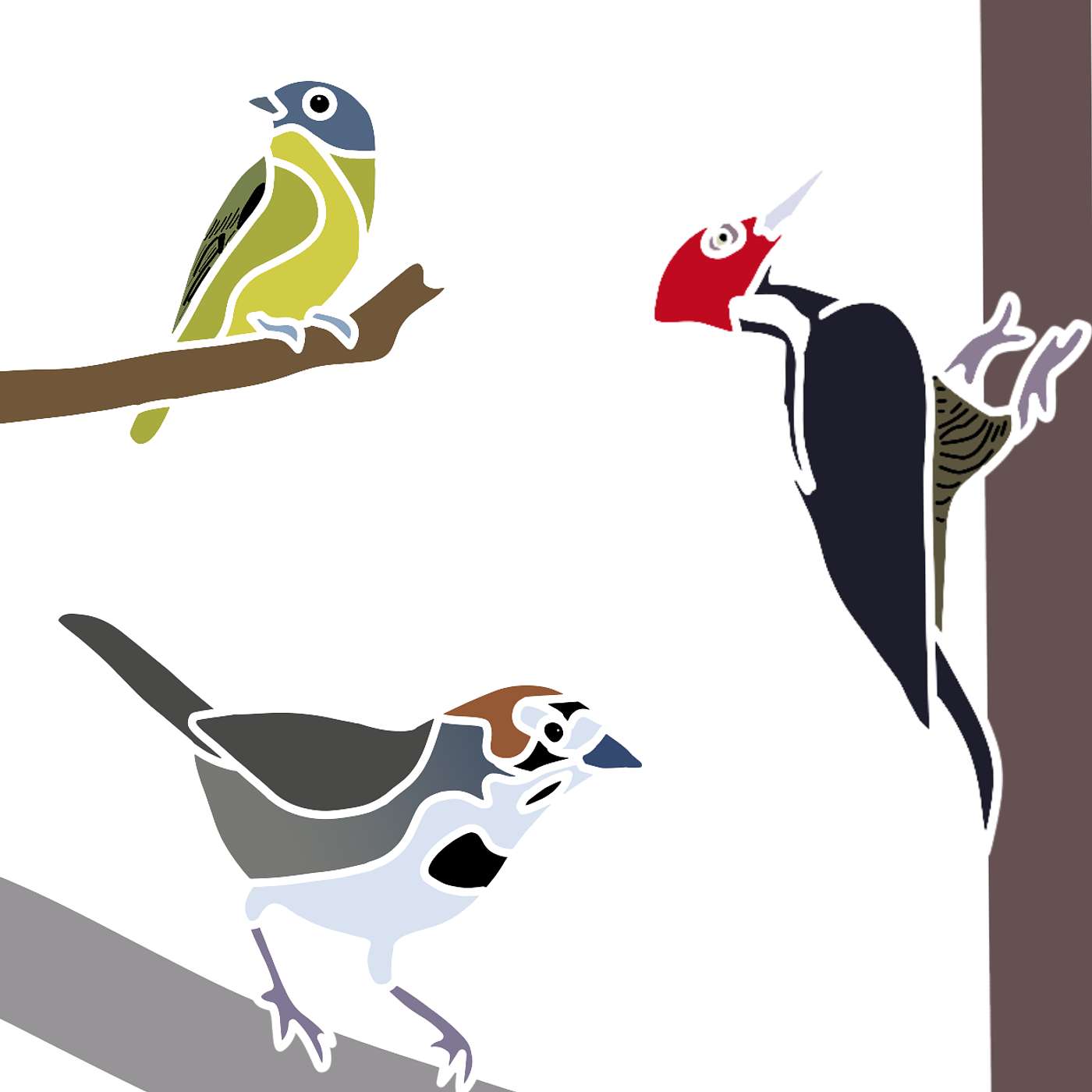 Birding in Costa Rica episode artwork