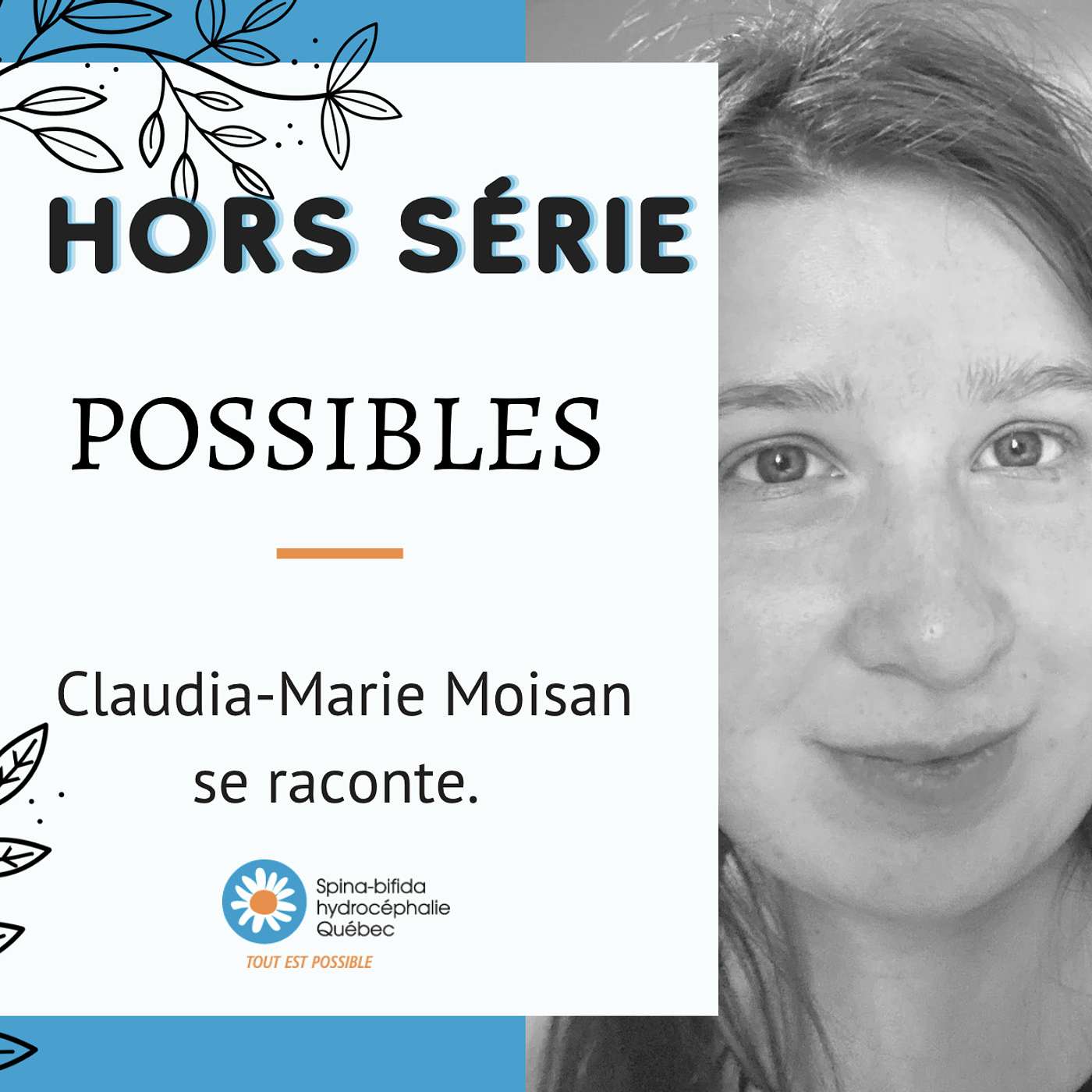 POSSIBLES