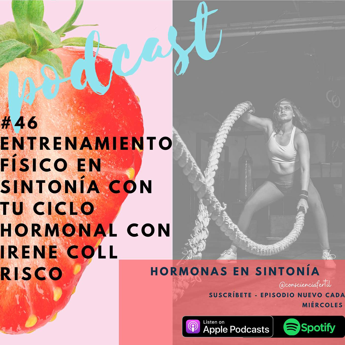 Hormonas en Sintonía