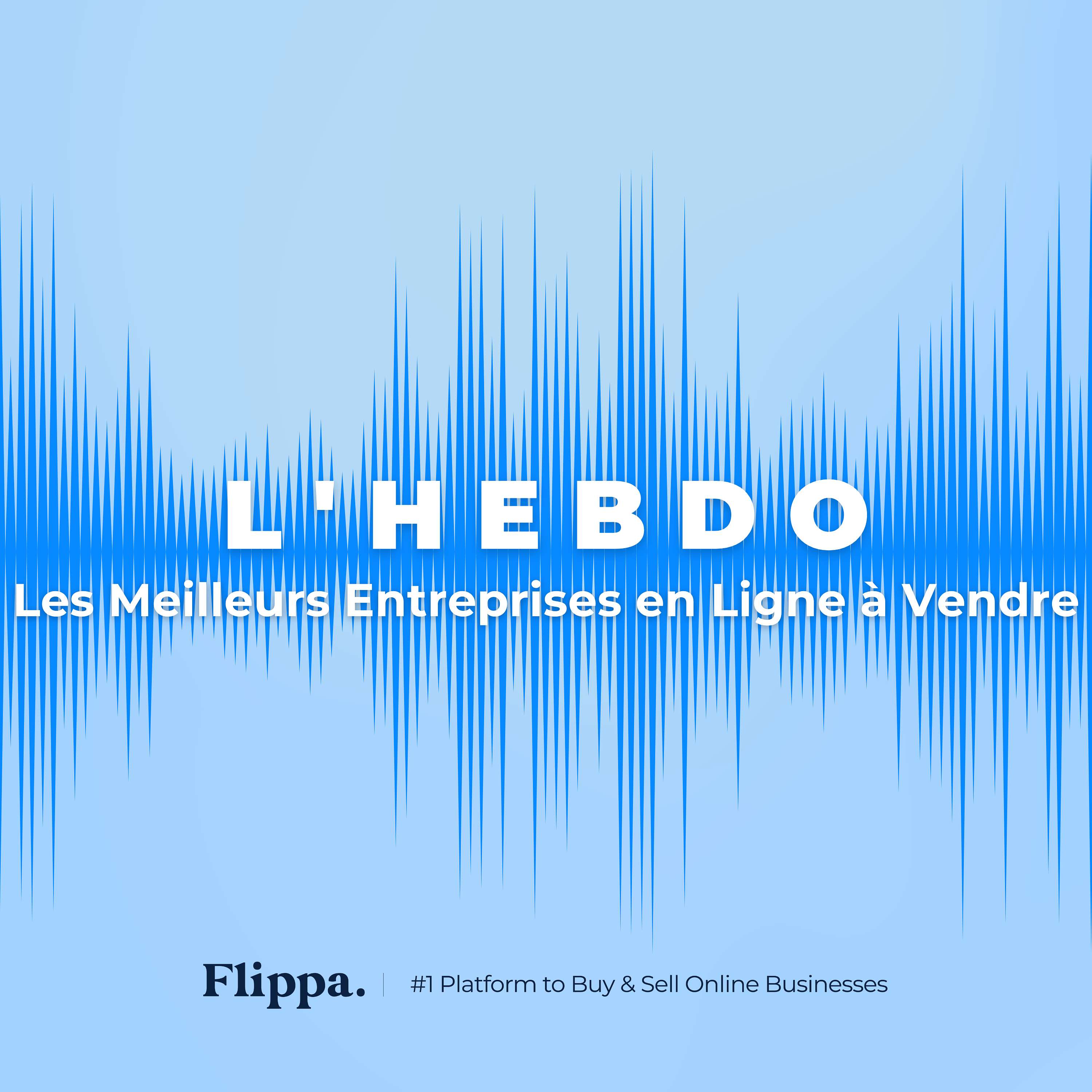 L'Hebdo - Les Meilleurs Entreprises en Ligne à Vendre