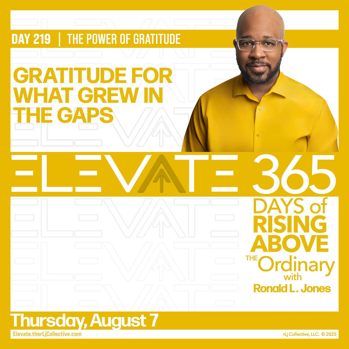 Day 219: Gratitude for What Grew in the Gaps
