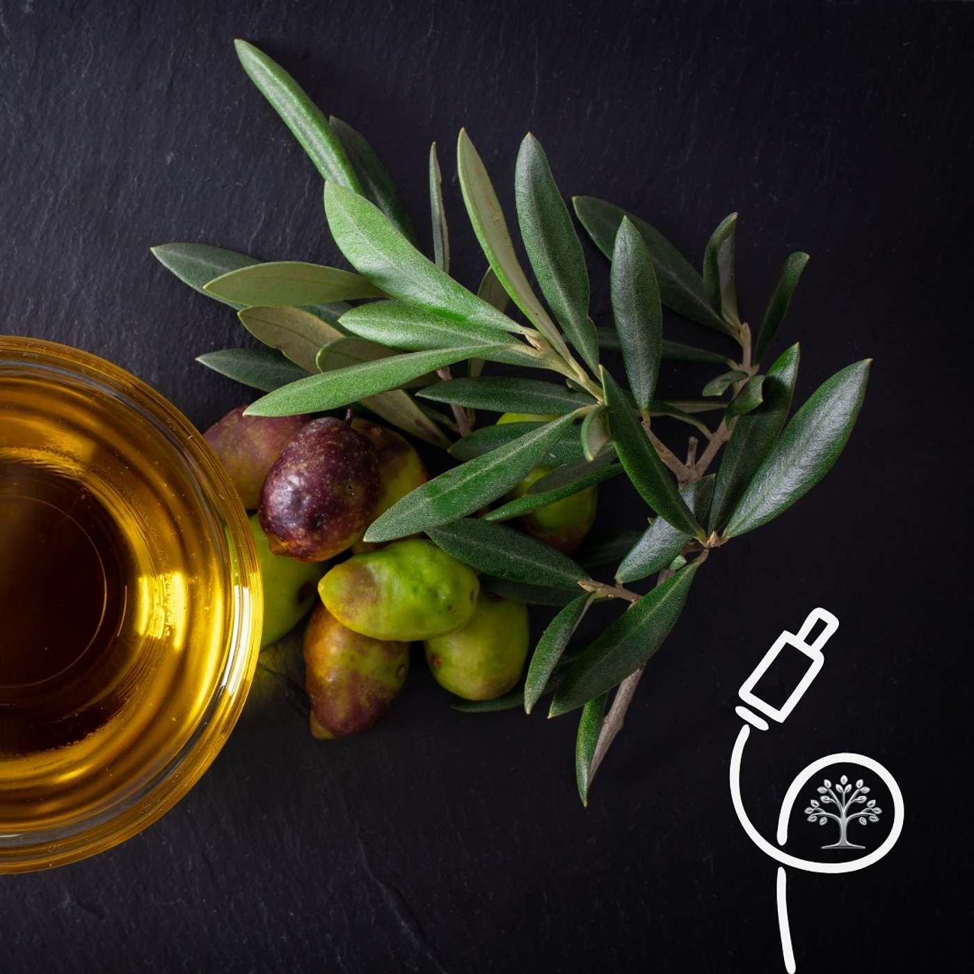 High Phenolic Olive Oil: Science-Backed, Hype-Approved episode artwork