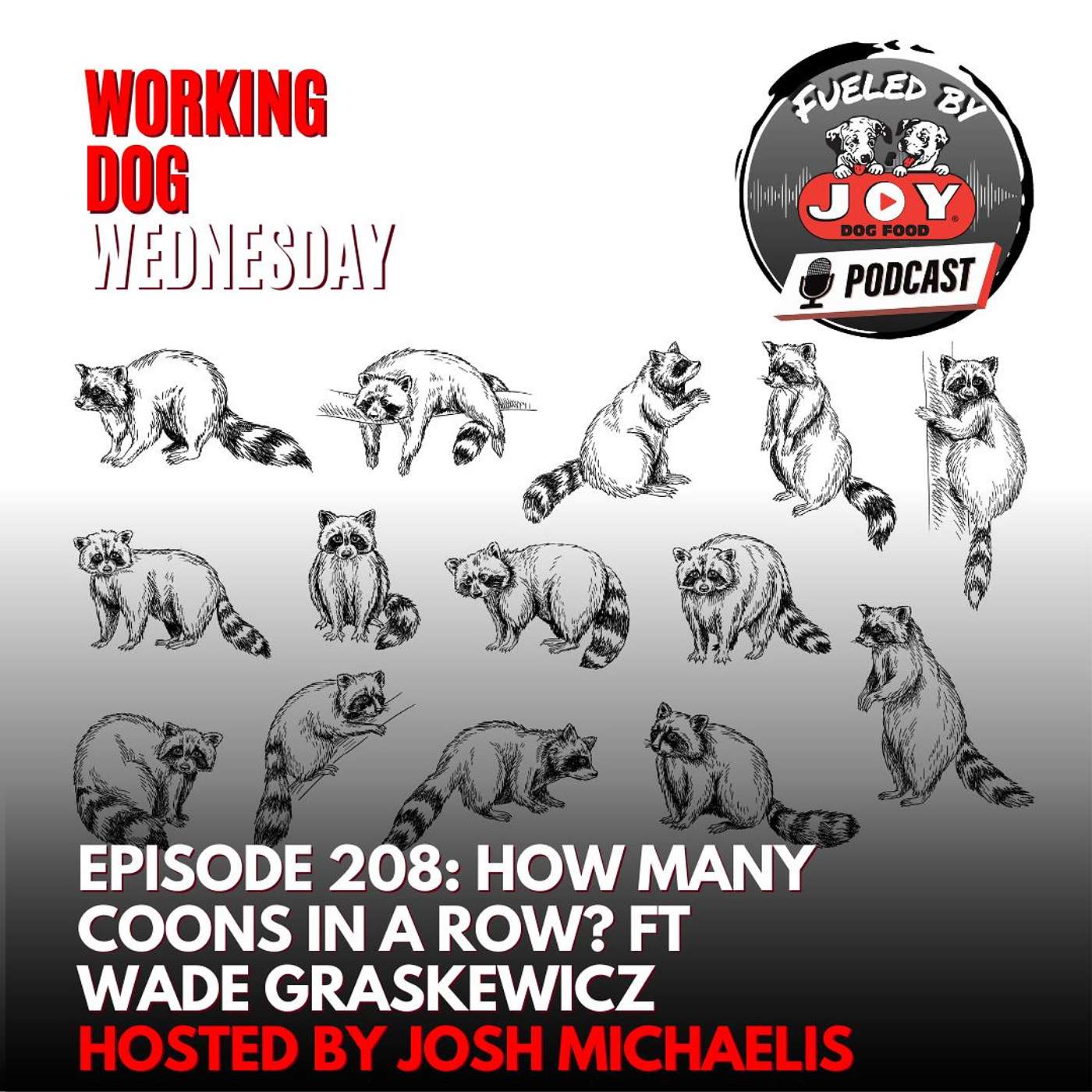 Episode 208: How Many Coons in a Row? episode artwork