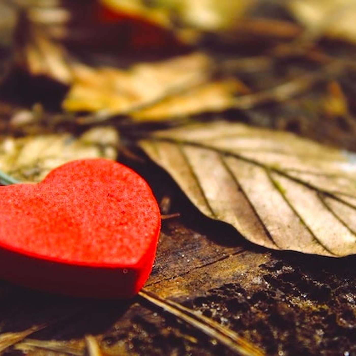 Love ~ The Journey To Acceptance