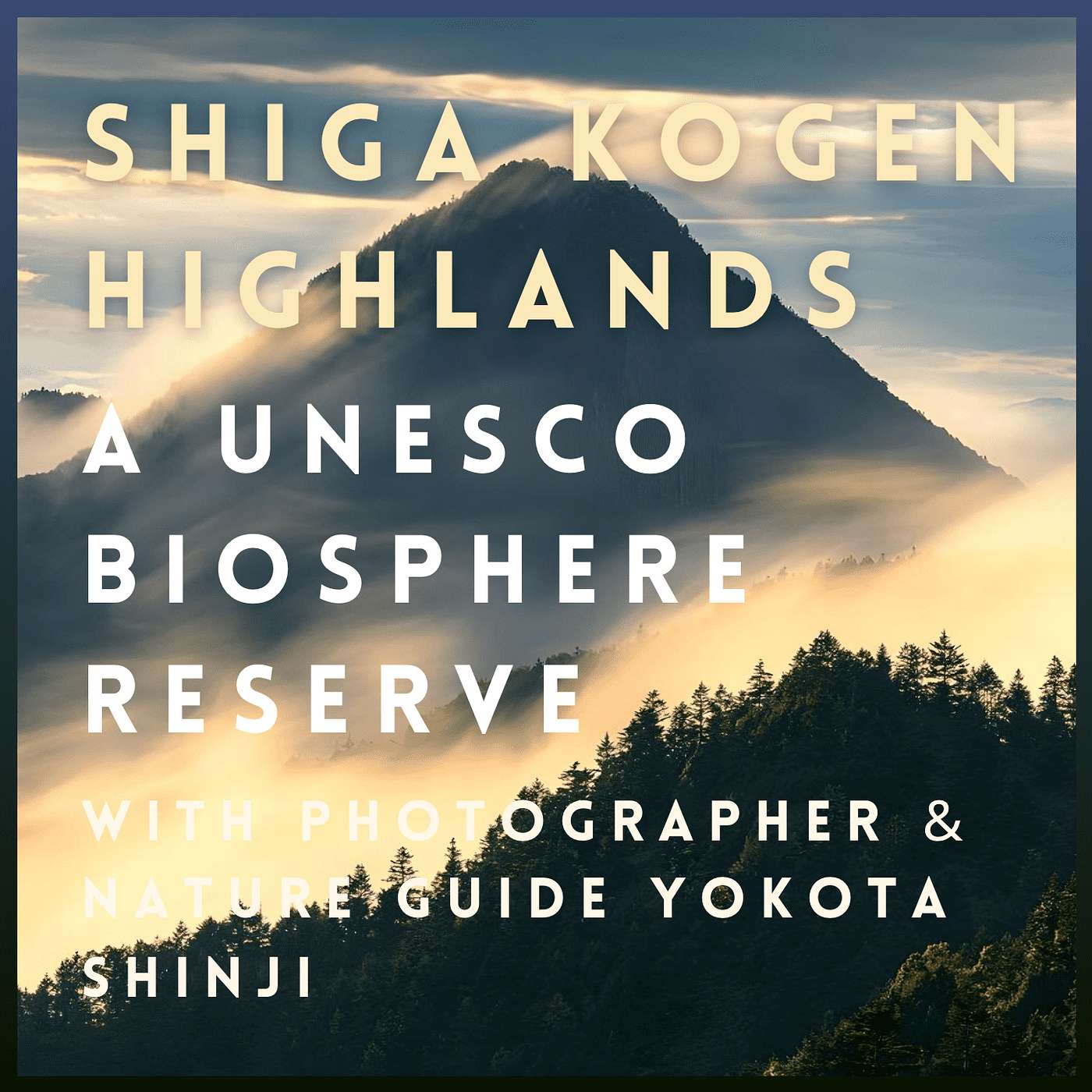 Shiga Kogen Highlands: A UNESCO Biosphere Reserve with Photographer & Nature Guide Yokota Shinji