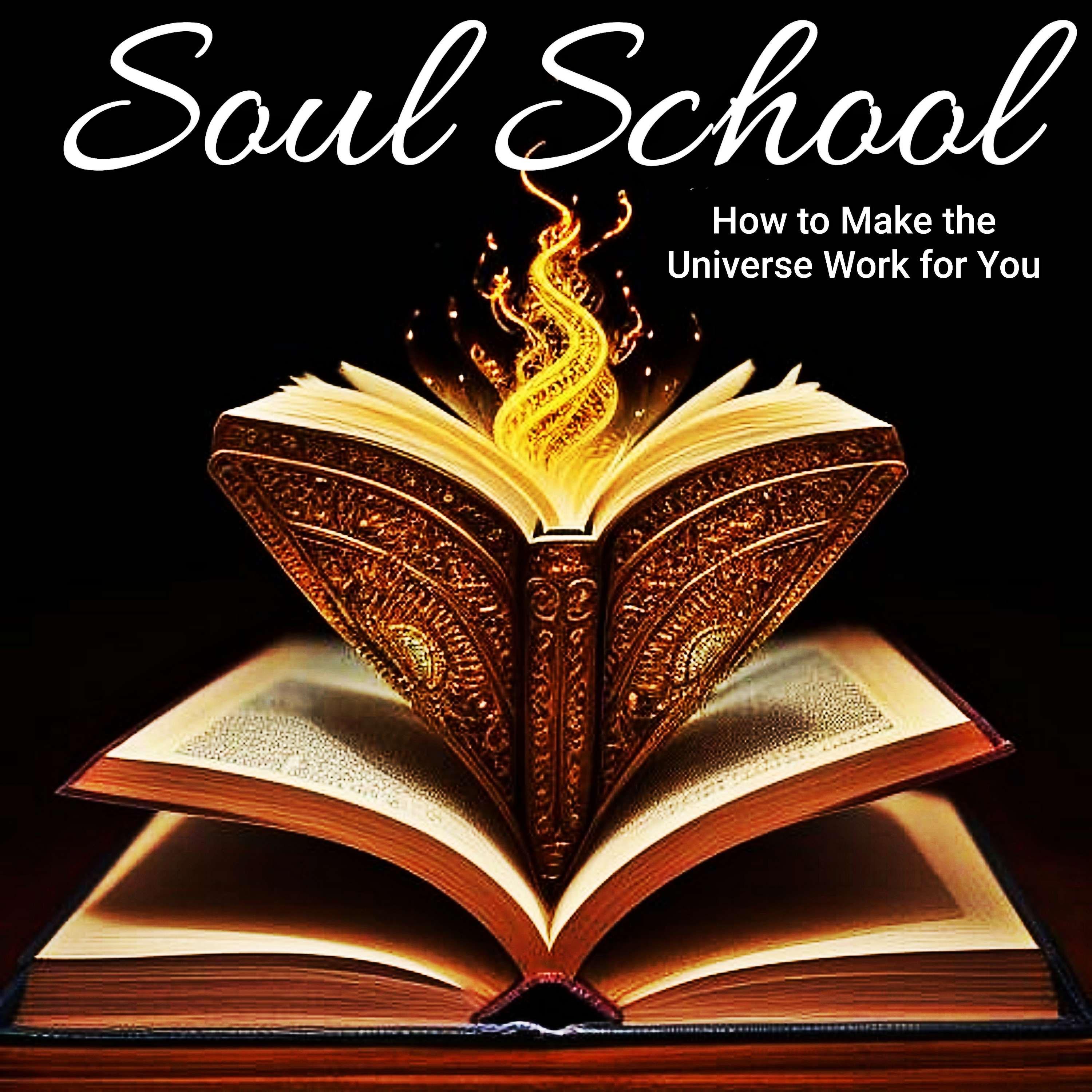 Soul School - How to Make the Universe Work for You