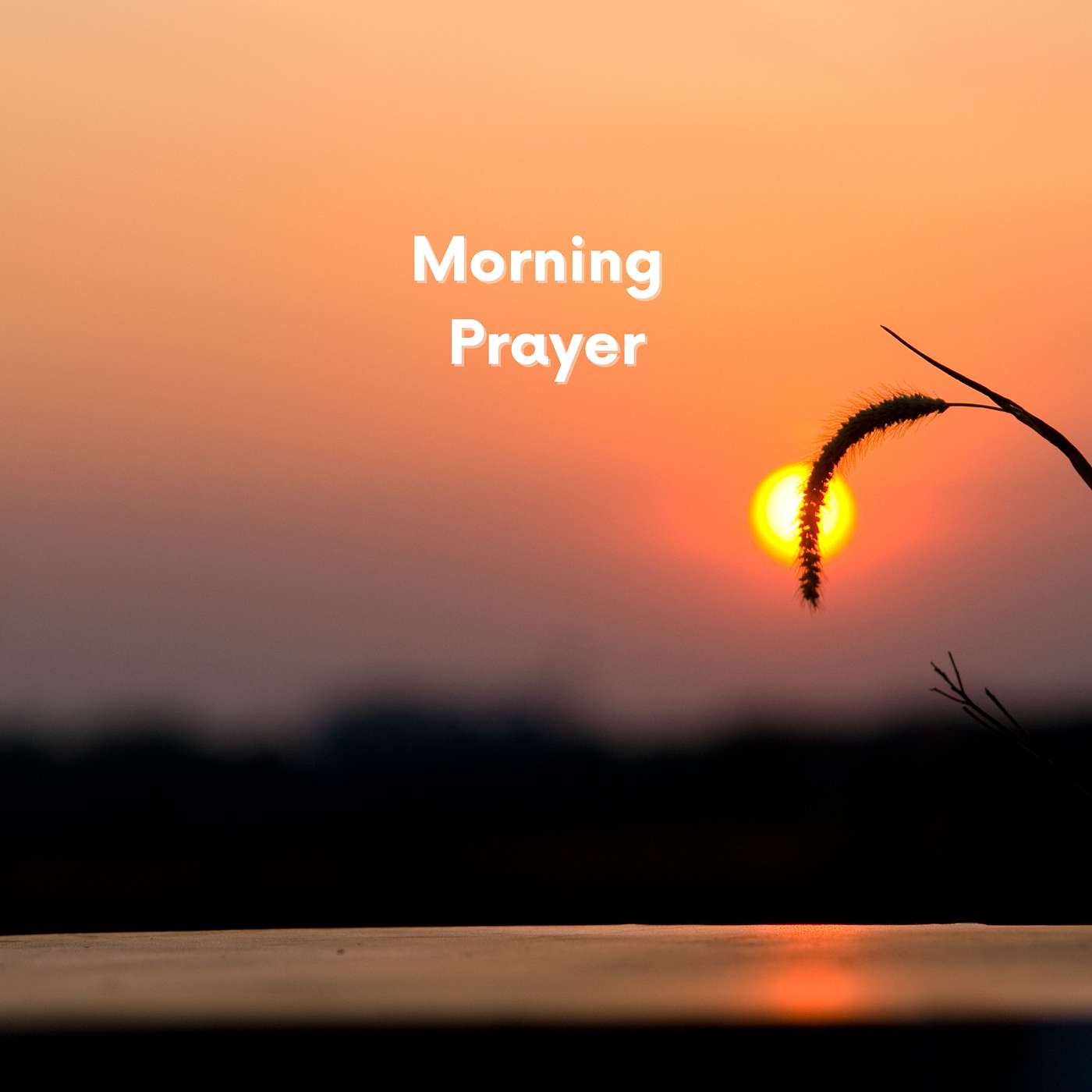 Morning Prayer #Morning #prayer #pray #Jesus #God #hear #answer #our #help #us #Lord #glorify #Christian #aimingforjesus episode artwork