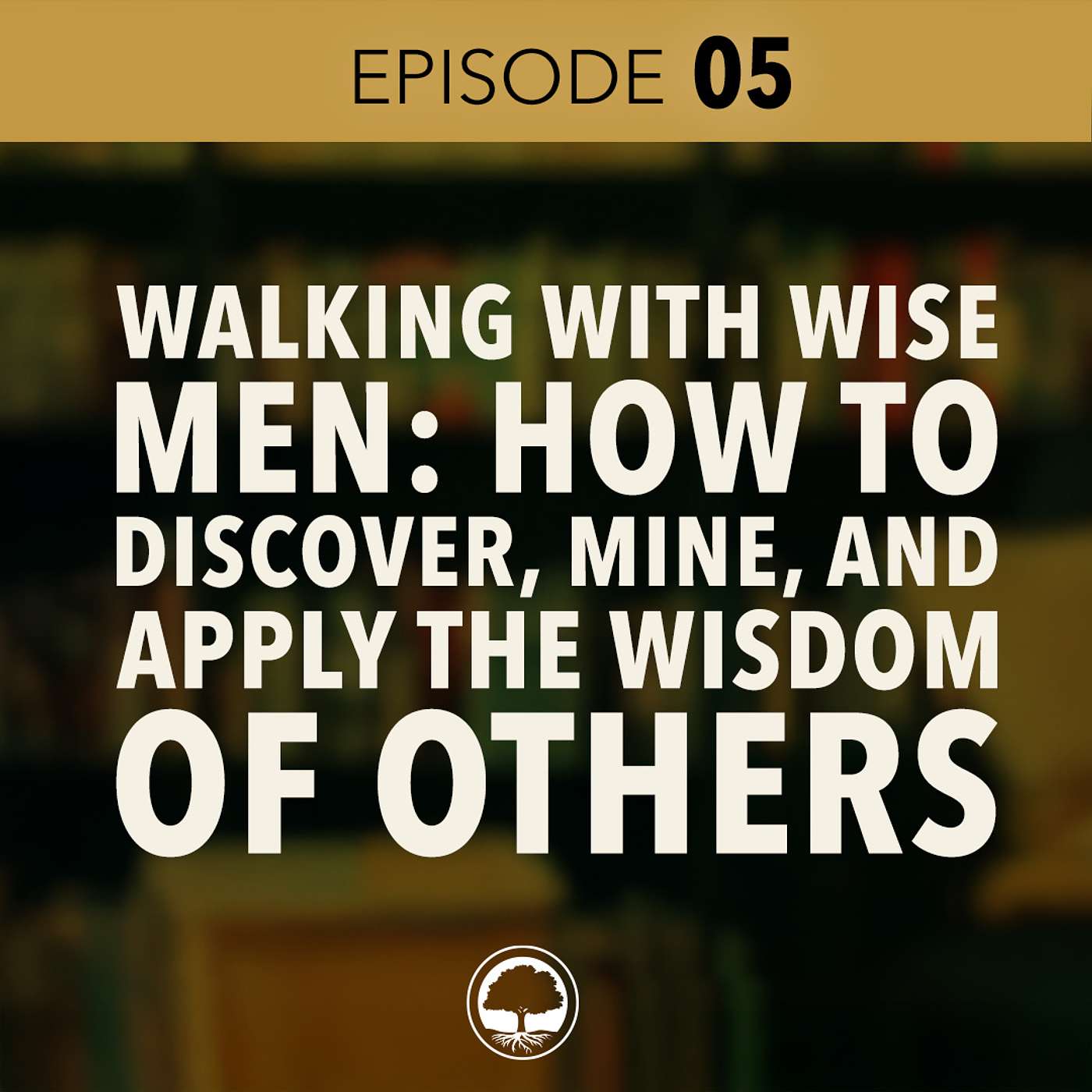 Walking with Wise Men: How to Discover, Mine, and Apply the Wisdom of Others - Steve Riddell episode artwork
