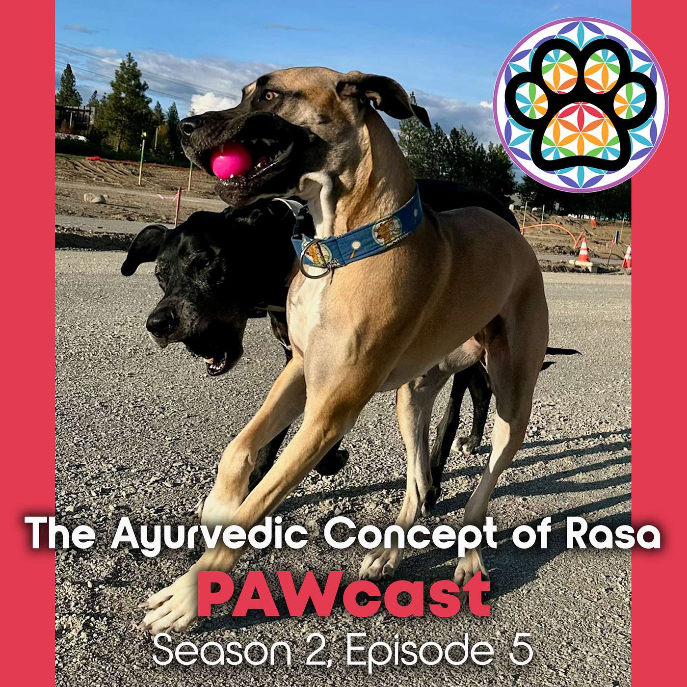 The Ayurvedic Concept of Rasa episode artwork