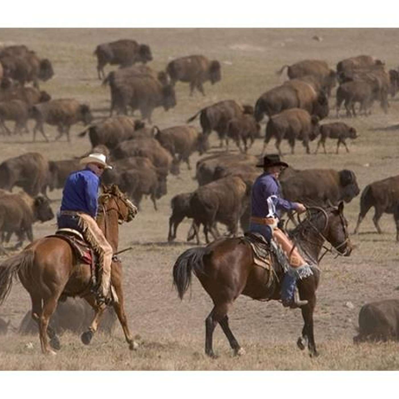 THE BLACK HILLS of SOUTH DAKOTA on Equestrian Legacy Radio's SADDLE UP AMERICA!