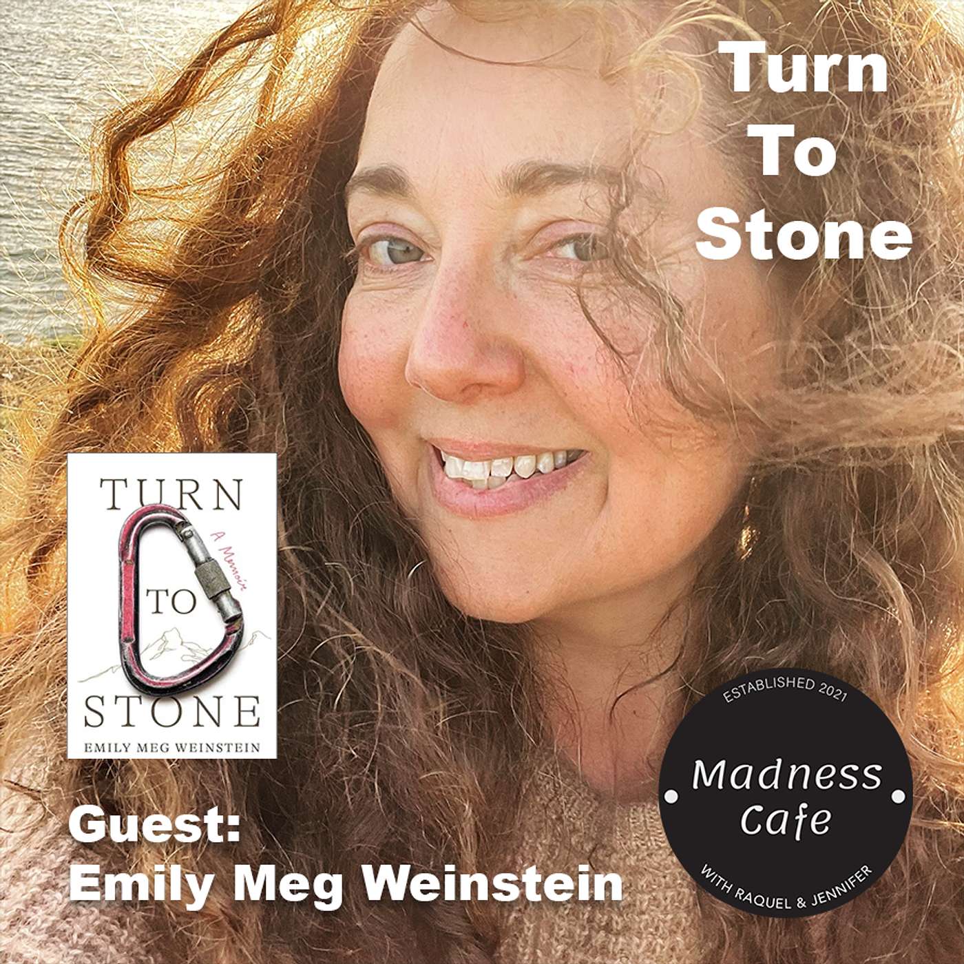 247. Turn to Stone: A Memoir with guest Emily Meg Weinstein