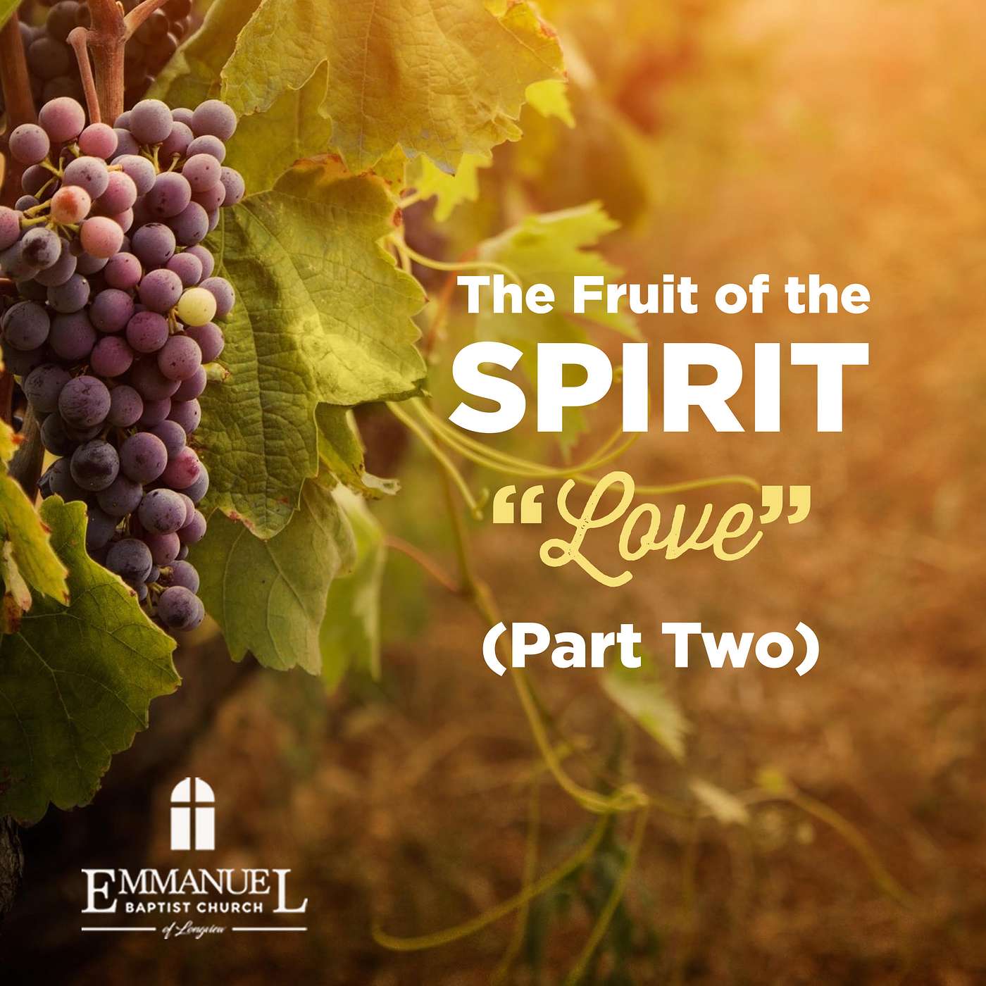 The Fruit of the Spirit - Love - Part Two - Wednesday PM 12/15/2021 - Pastor Bob Gray II episode artwork