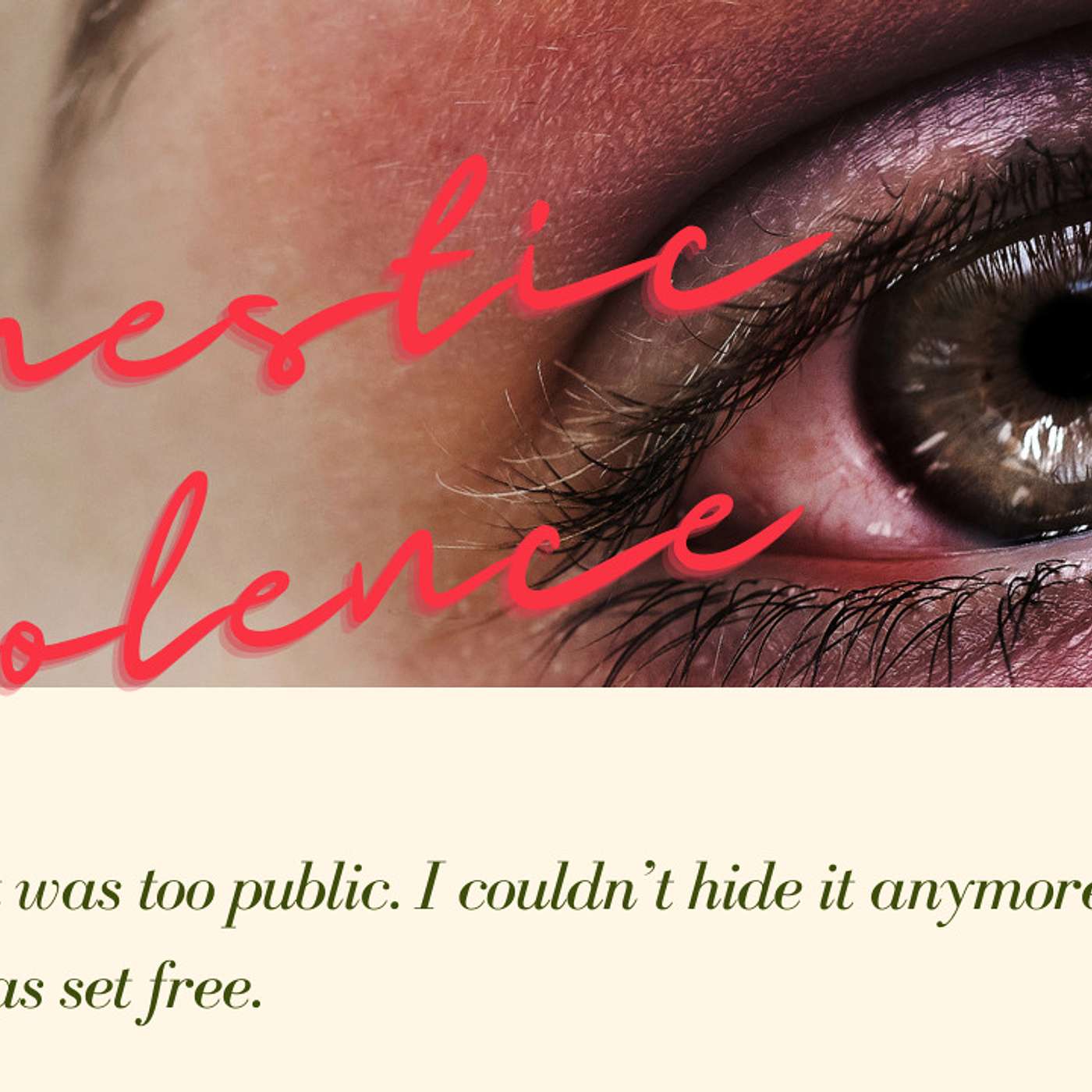 What is Domestic Violence? Jennifer's Story Part Two What is Domestic Violence? Jennifer's Story Part Two