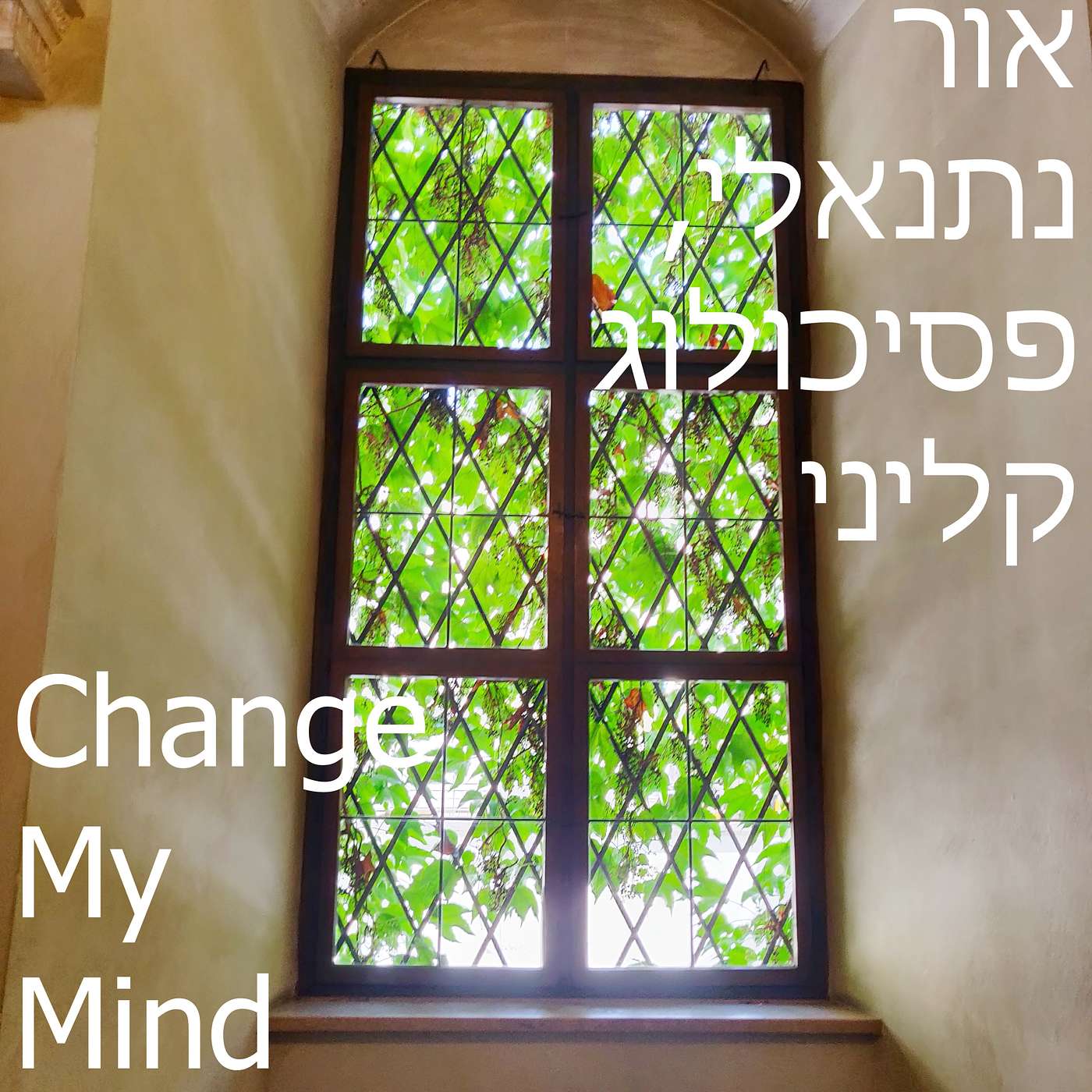 #23: שיחה עם ליאת מנדל  - על אמונה, כוונה, ותרגול