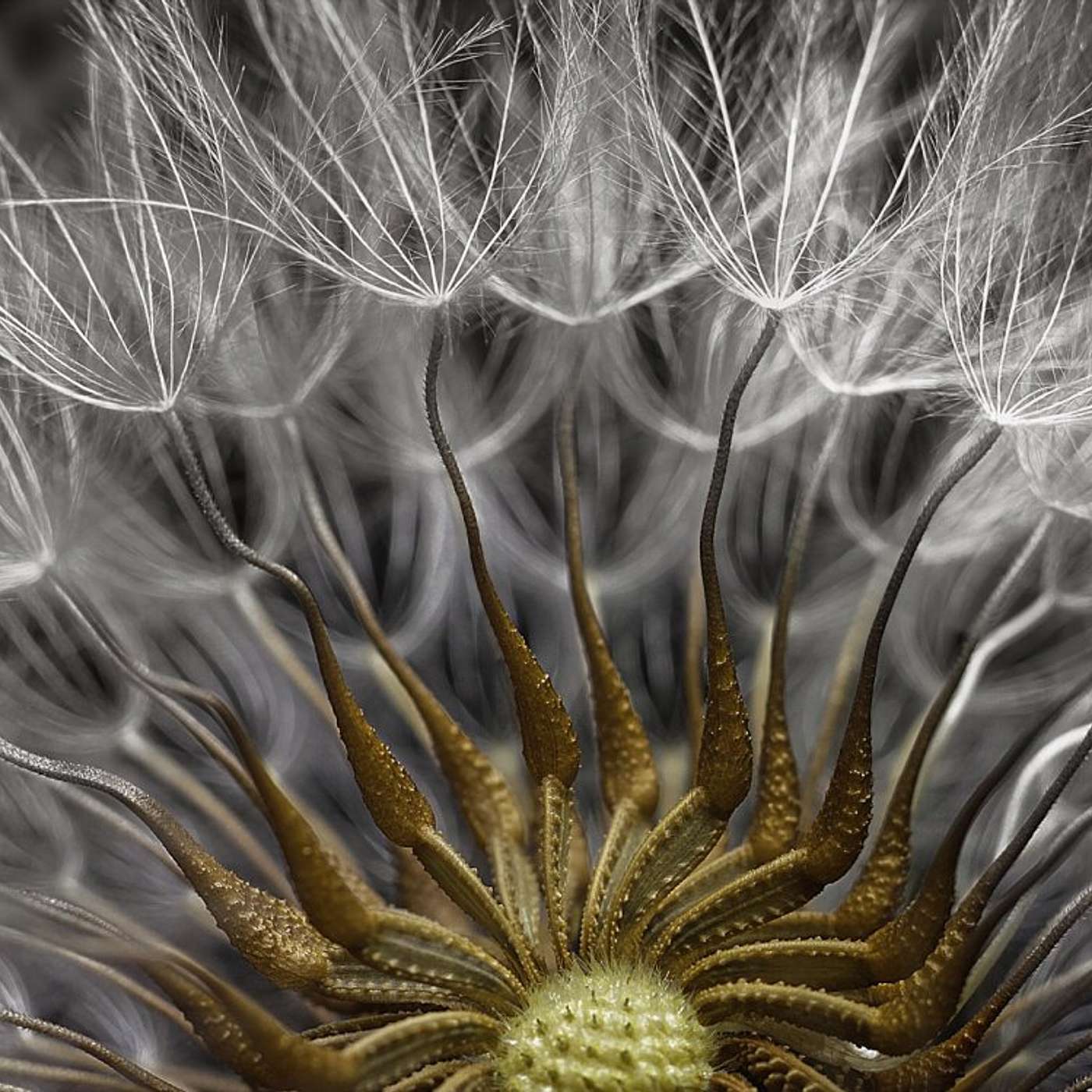 Conscious Living Conscious Dying 04 - Life - Each Soul Needs Many Human Lives