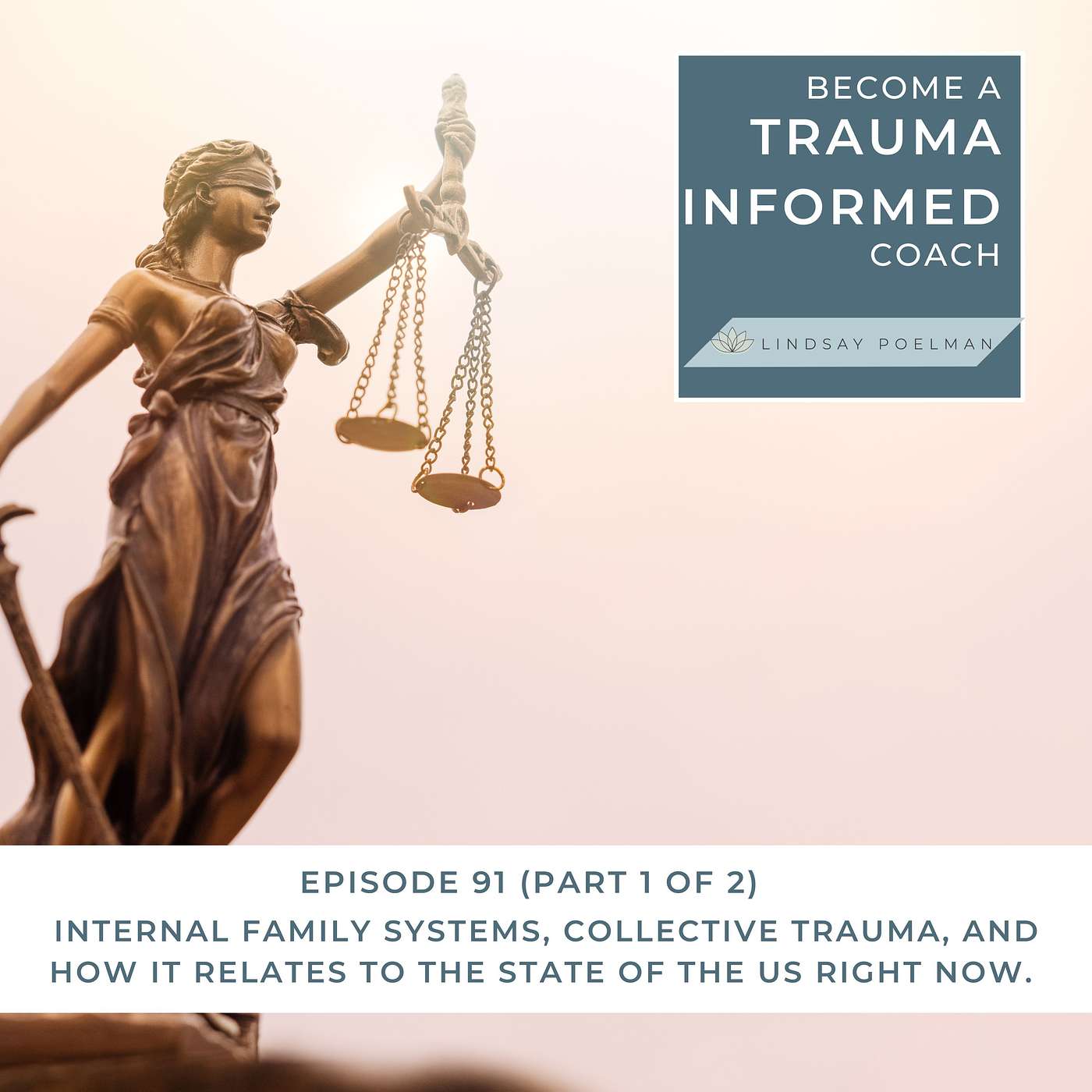 IFS, Collective Trauma, & How it relates to the USA - Part 1 of 2
