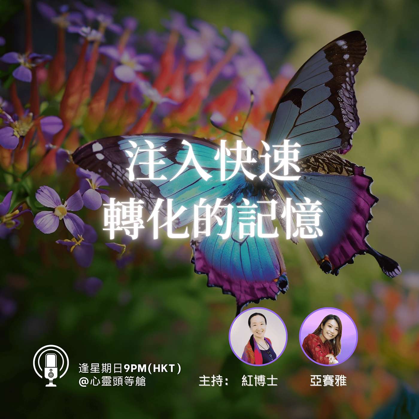 注入快速轉化的記憶 注入快速轉化的記憶