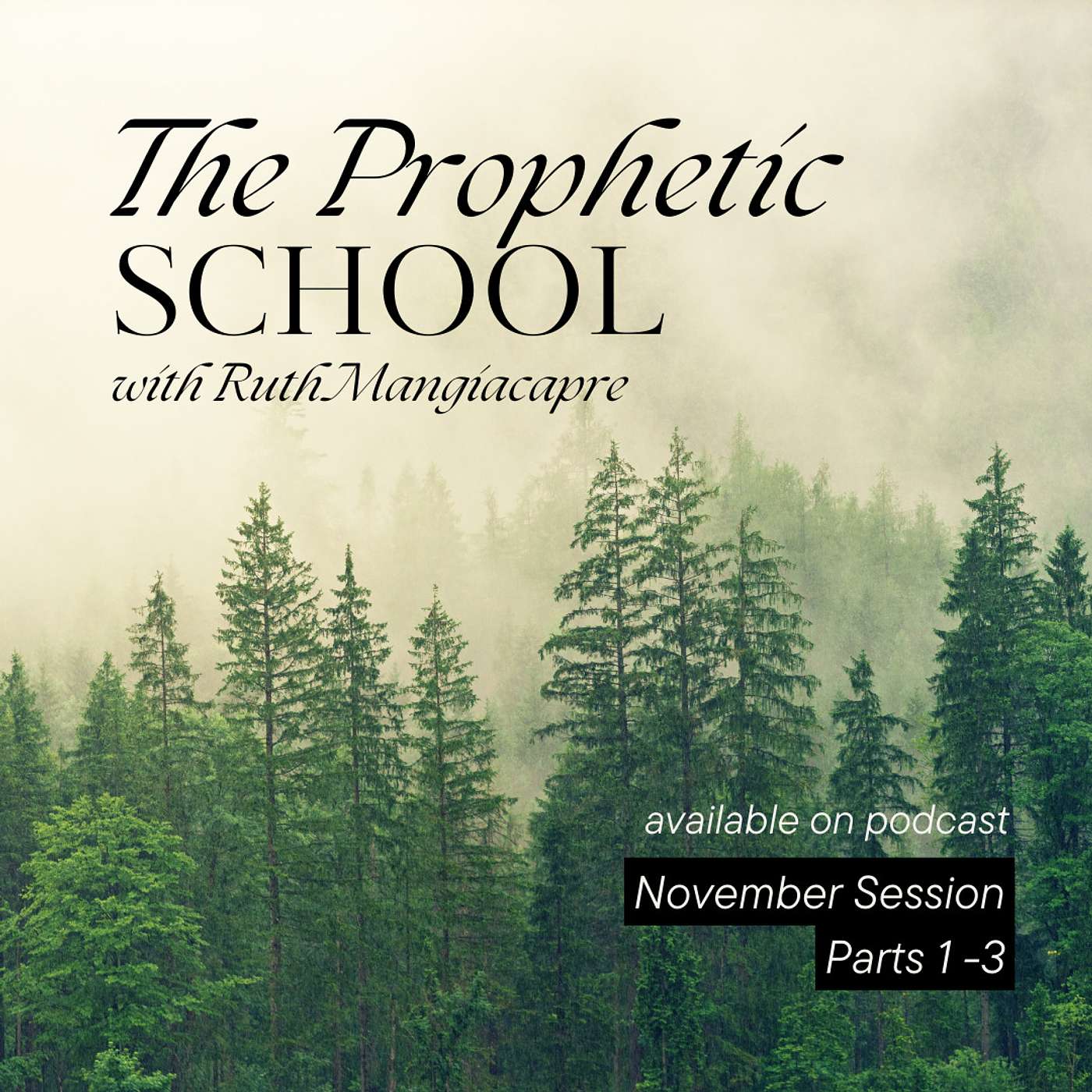 Prophetic School with Ruth Mangiacapre - November Session - Activation