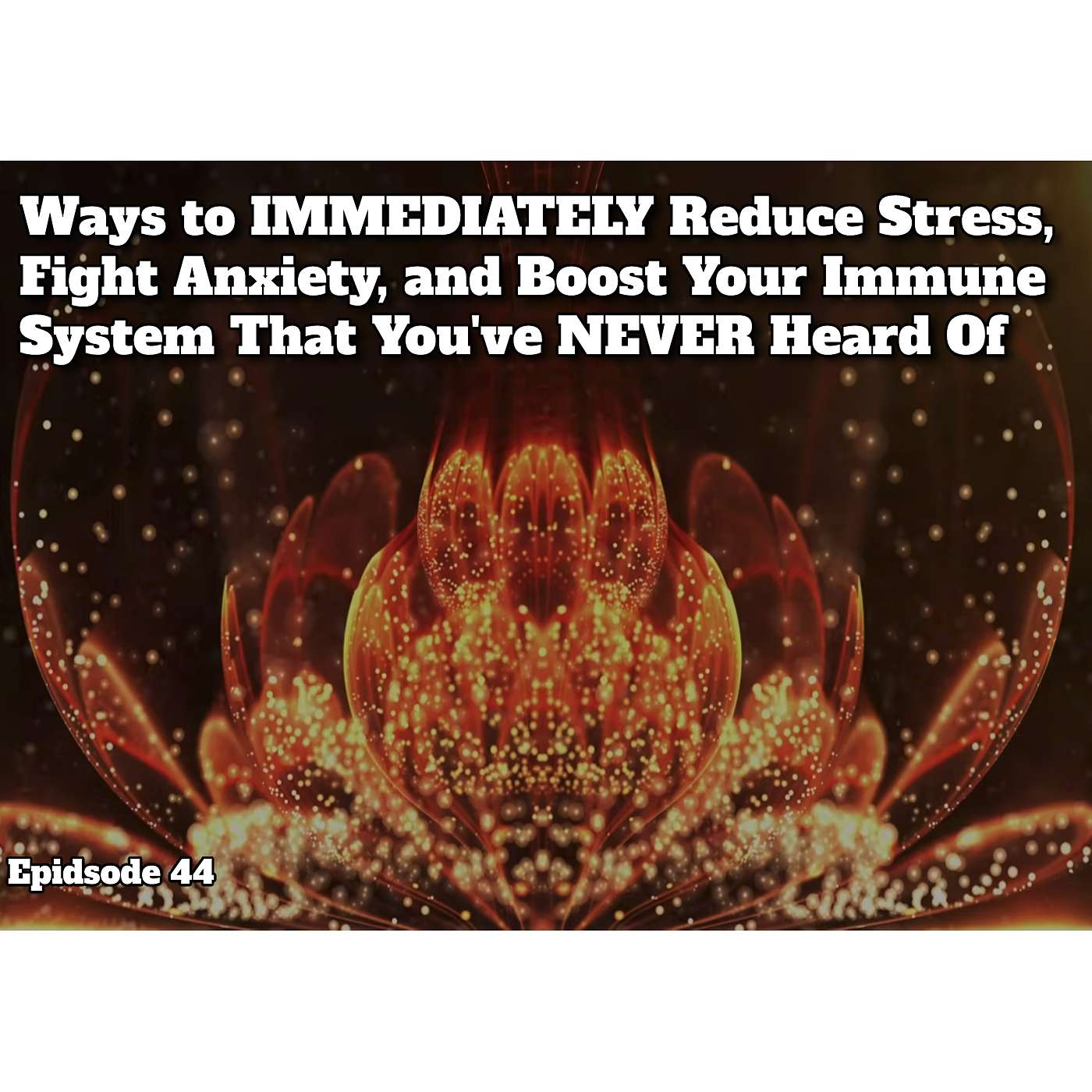 Ways to IMMEDIATELY Reduce Stress, Fight Anxiety, and Boost Your Immune System That You've Never Heard Of - Episode 44