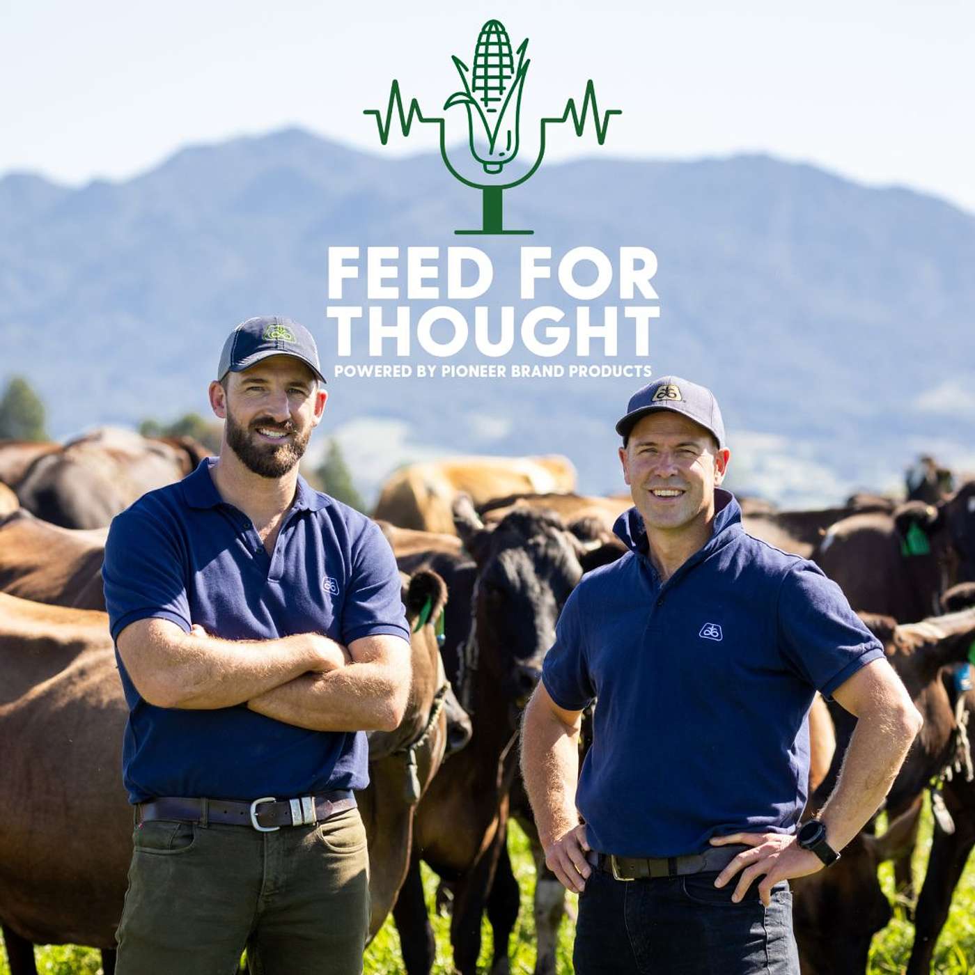 Welcome to Season 4! Welcome to Season 4!