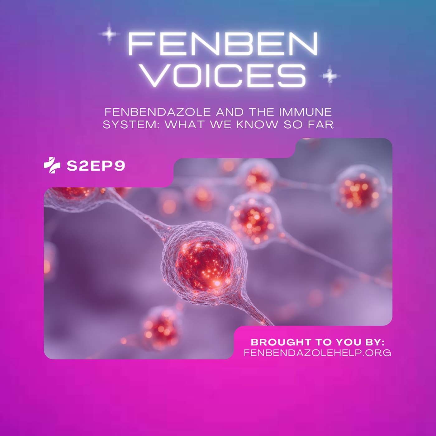 S2 EP9 Fenbendazole and the Immune System: What We Know So Far