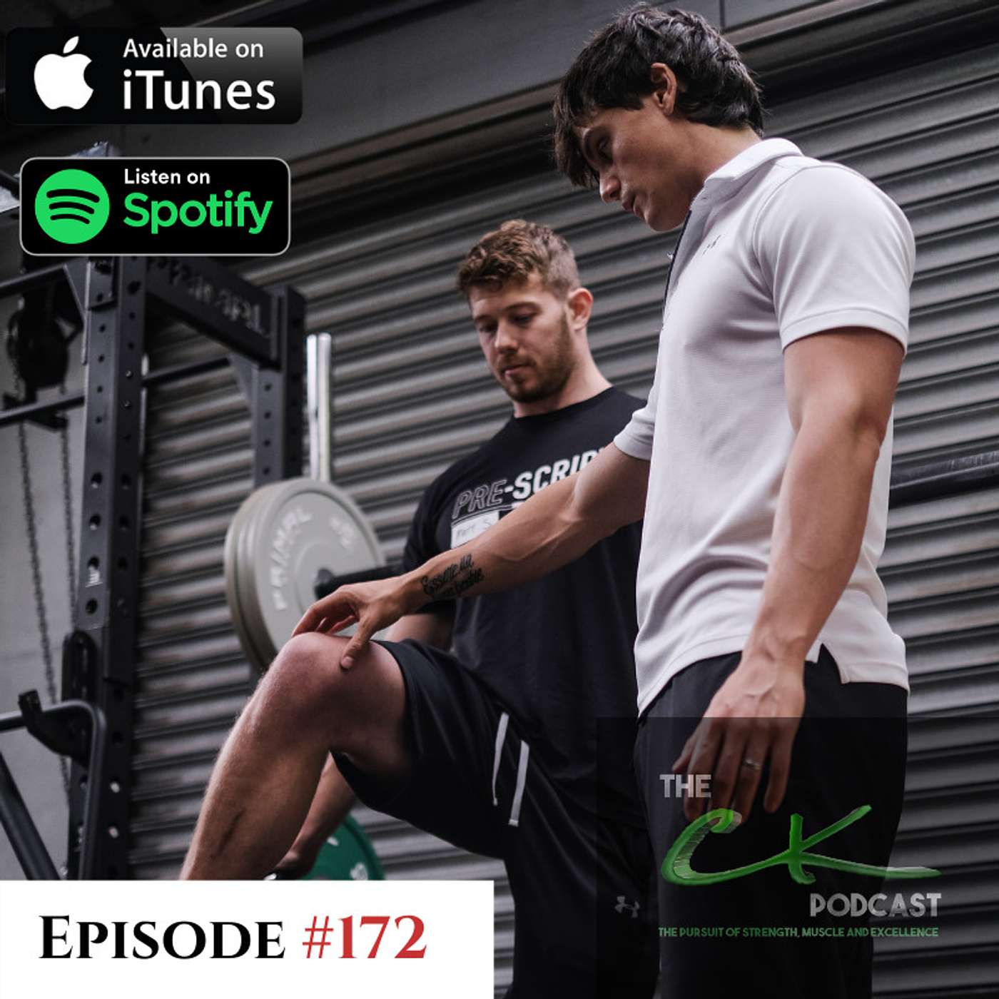 Movement Assessments, Training The Glutes & Hinging Issues