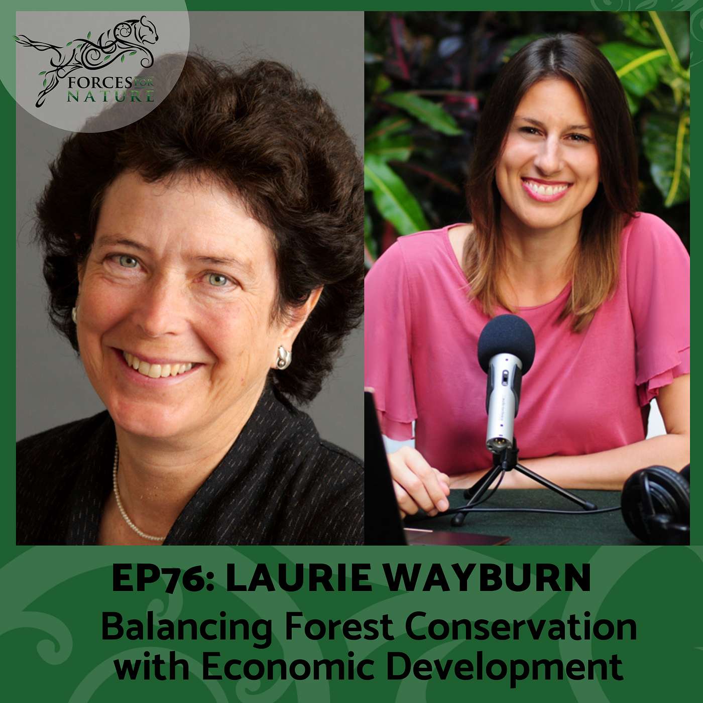 Balancing Forest Conservation with Economic Development with Laurie Wayburn, Ep.76