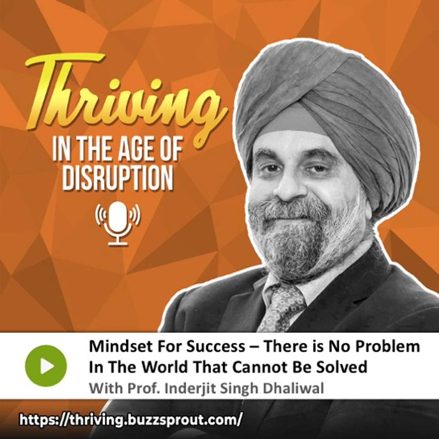 Thriving in the Age of Disruption