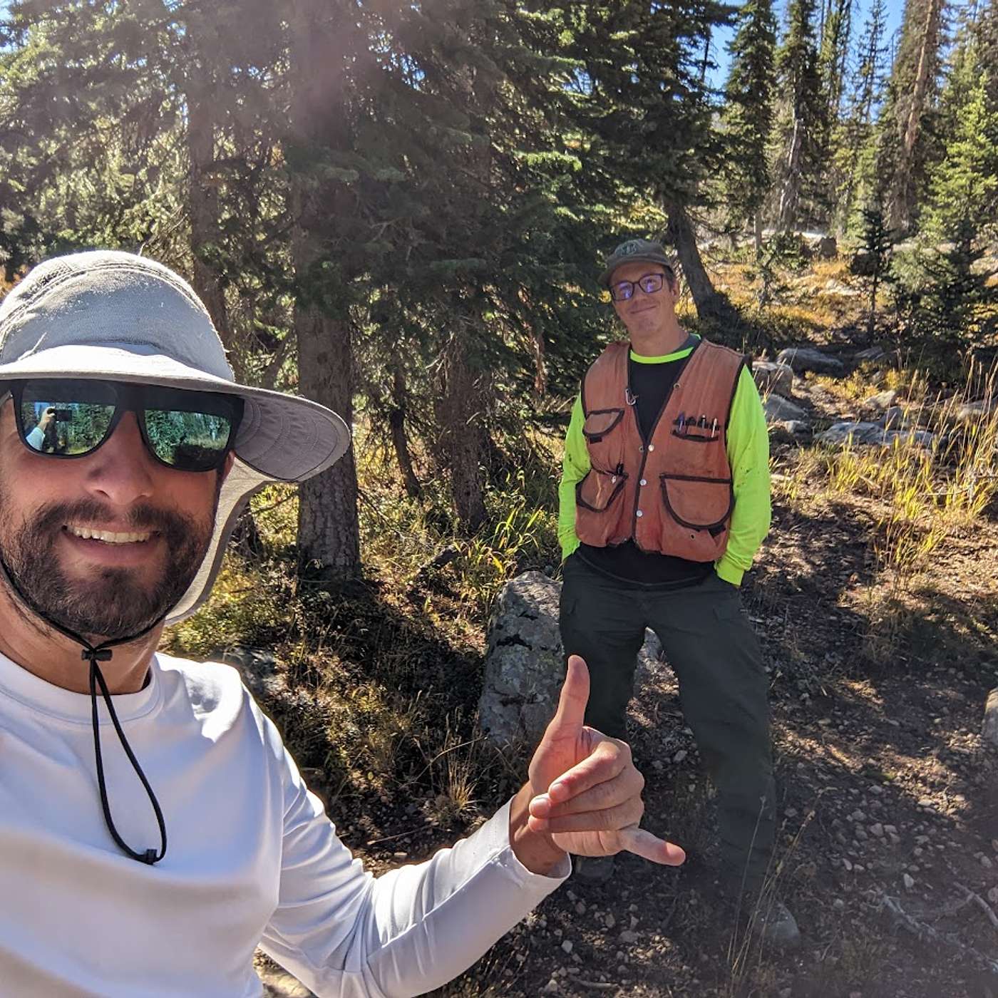 20: Mapping the Infestation of Balsam Woolly Adelgid in Utah Forests
