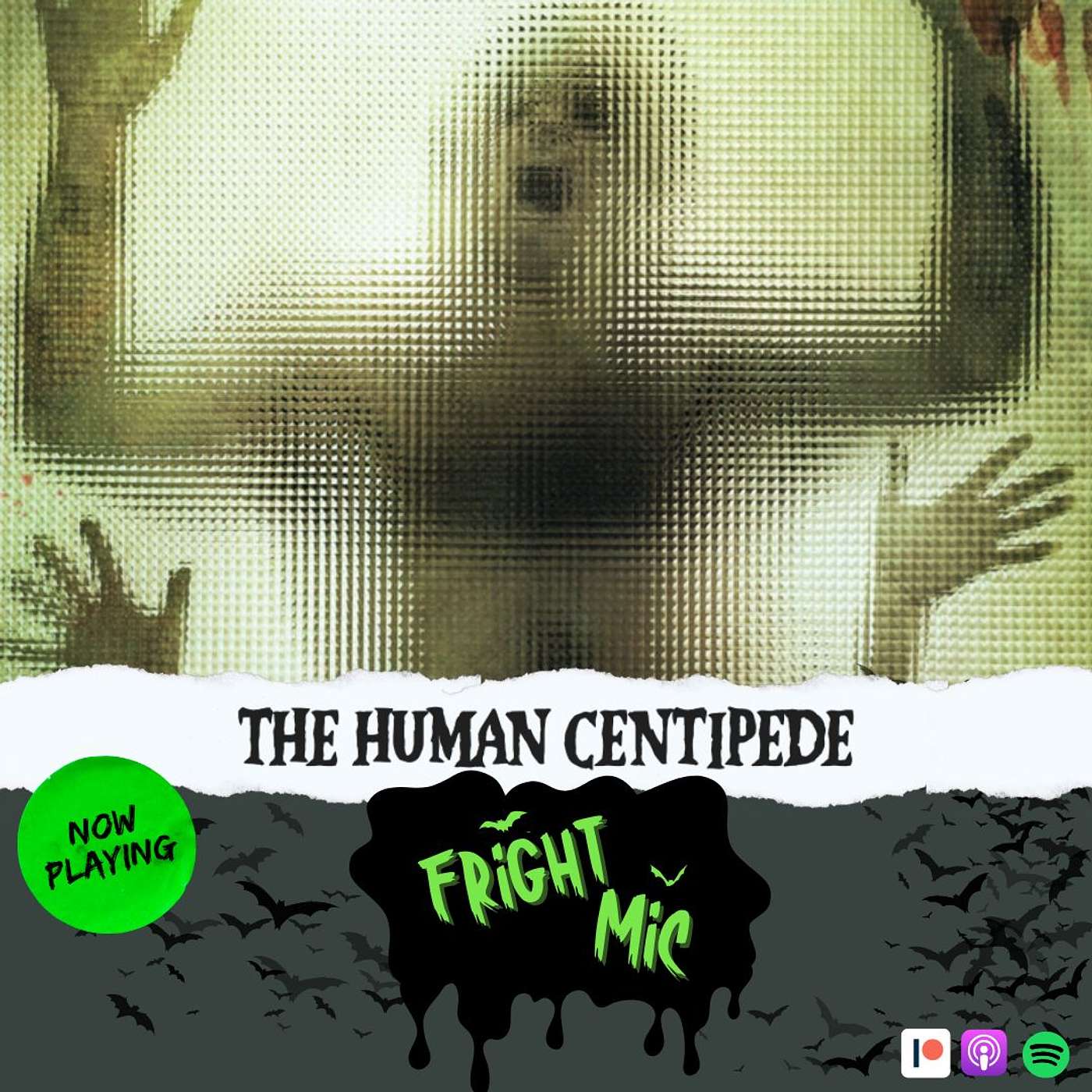Now Playing: The Human Centipede (First Sequence)