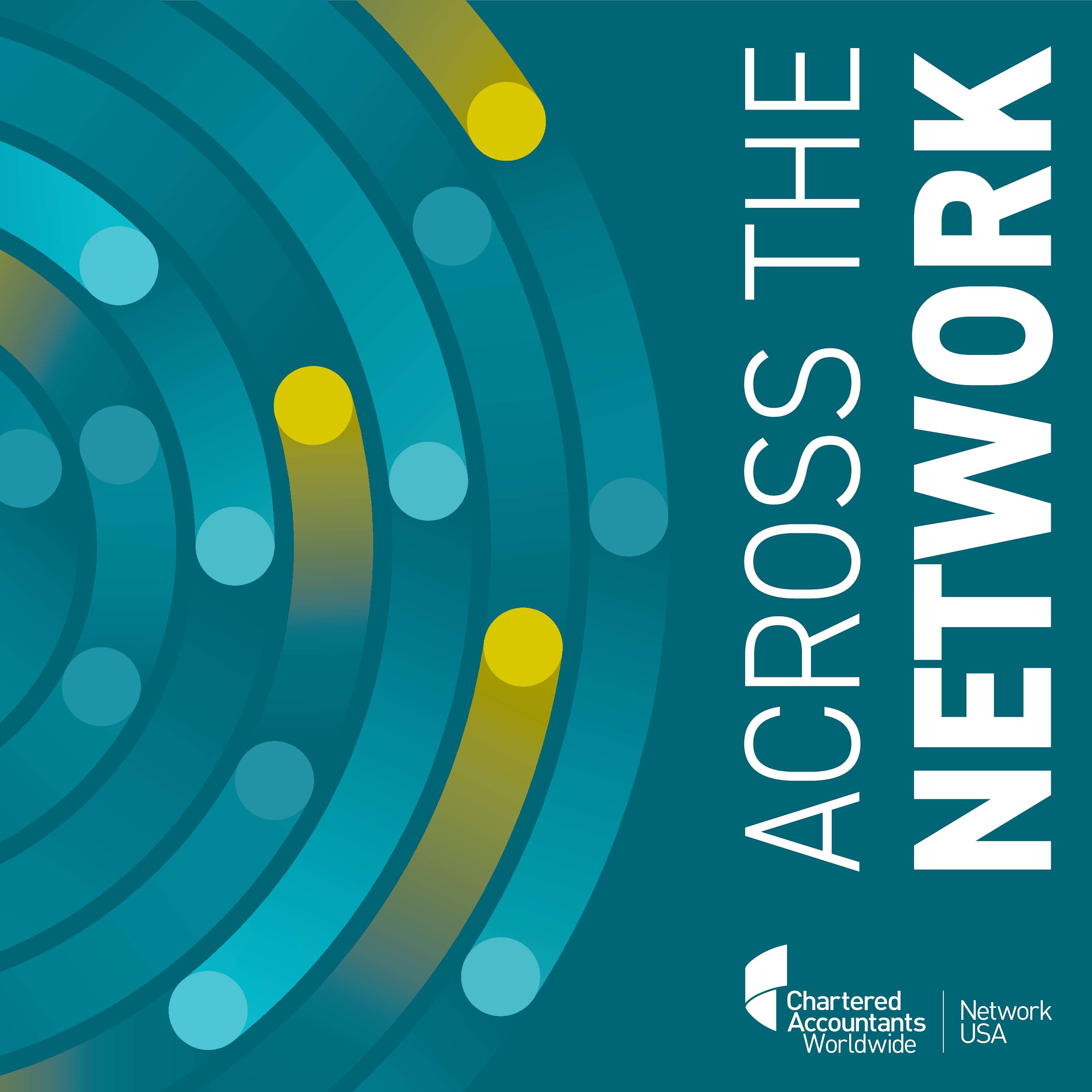 Across the Network Artwork